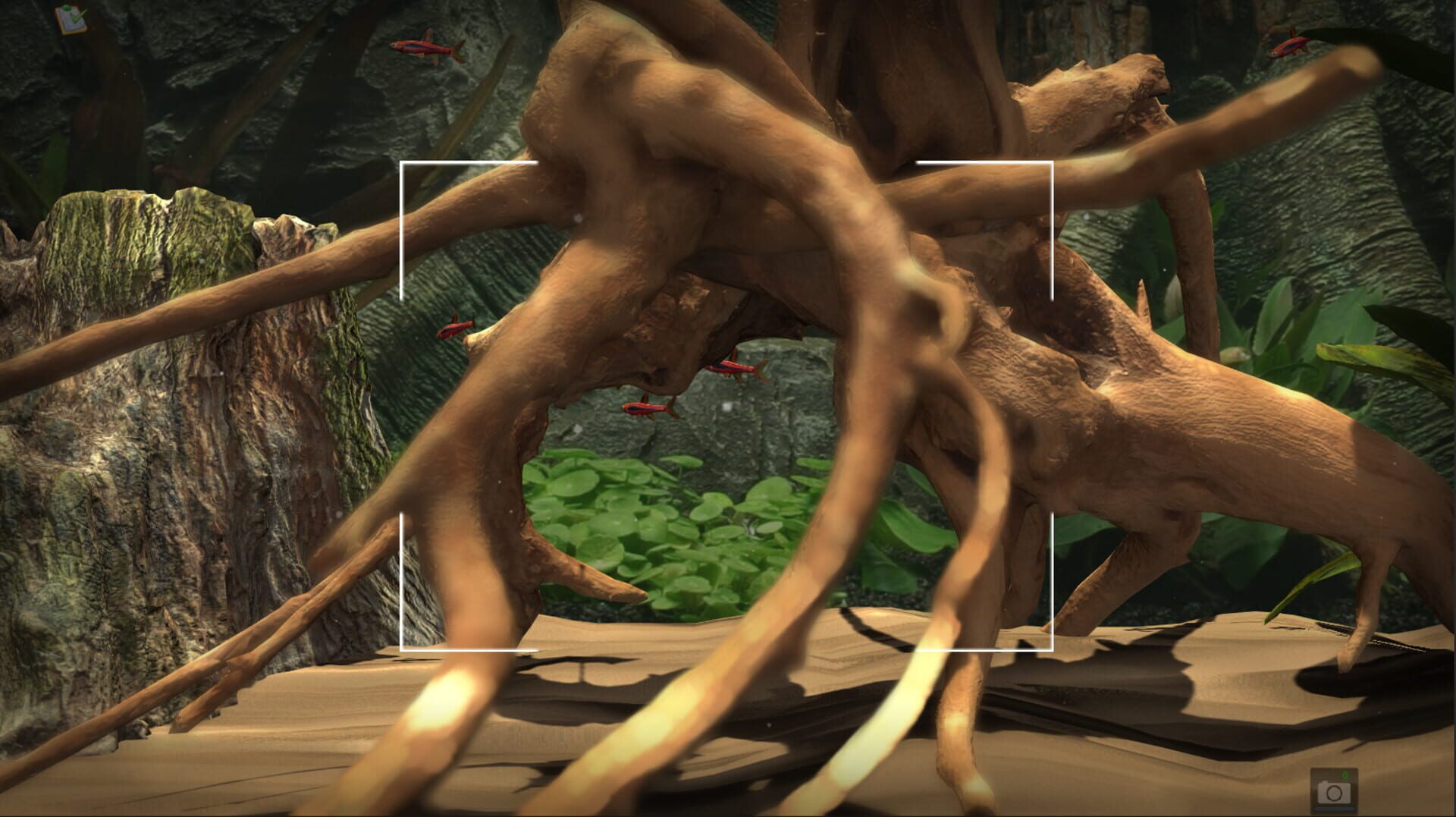 Snapshot Aquarium - Capture 2