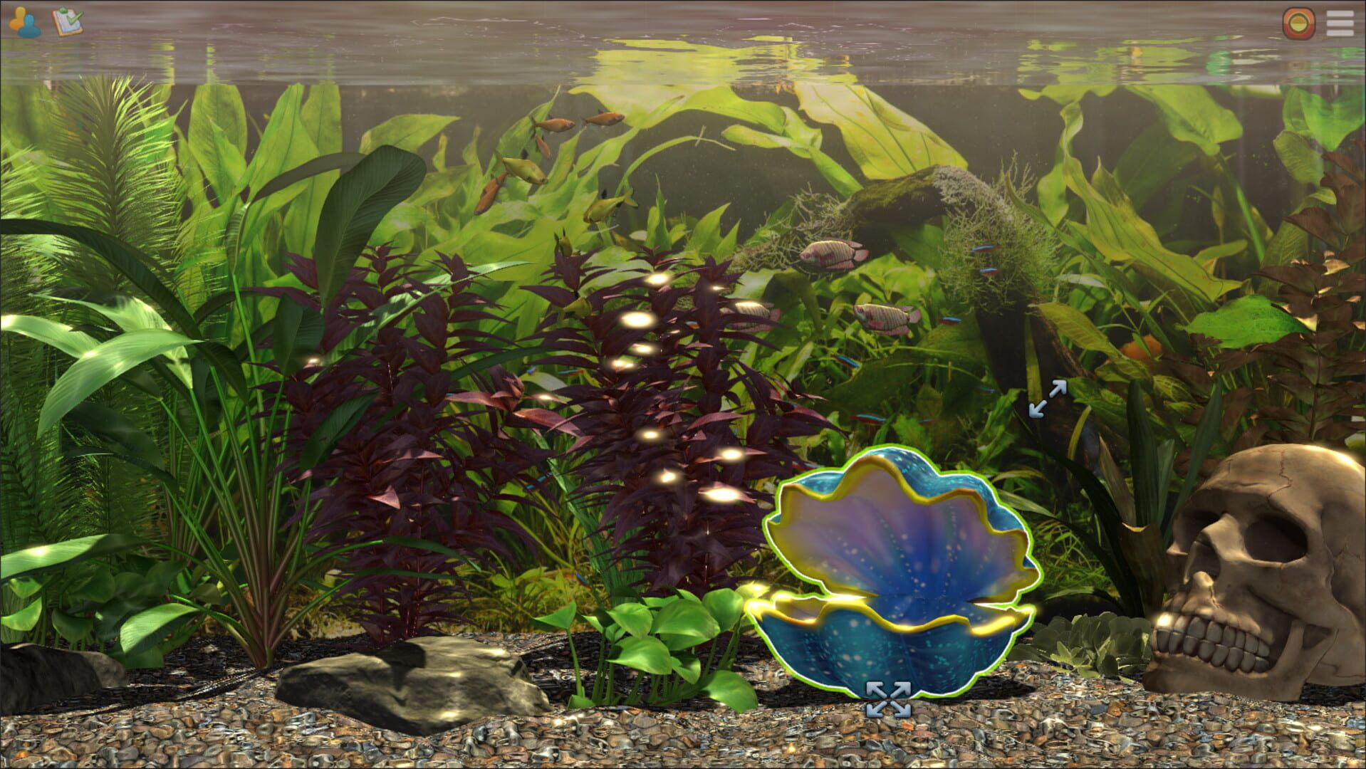 Snapshot Aquarium - Capture 6