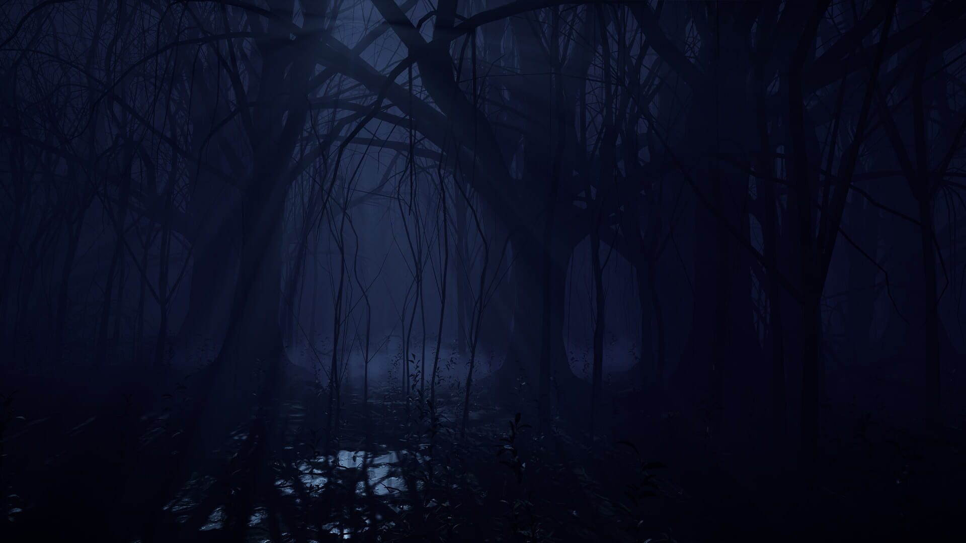 Solomon Division - Screenshot