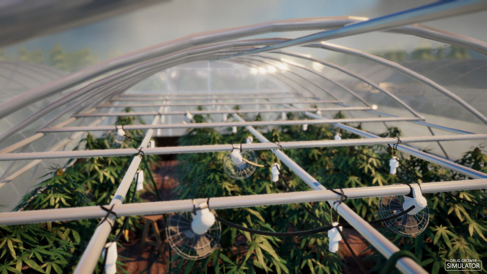 Drug Grower Simulator - Screenshot