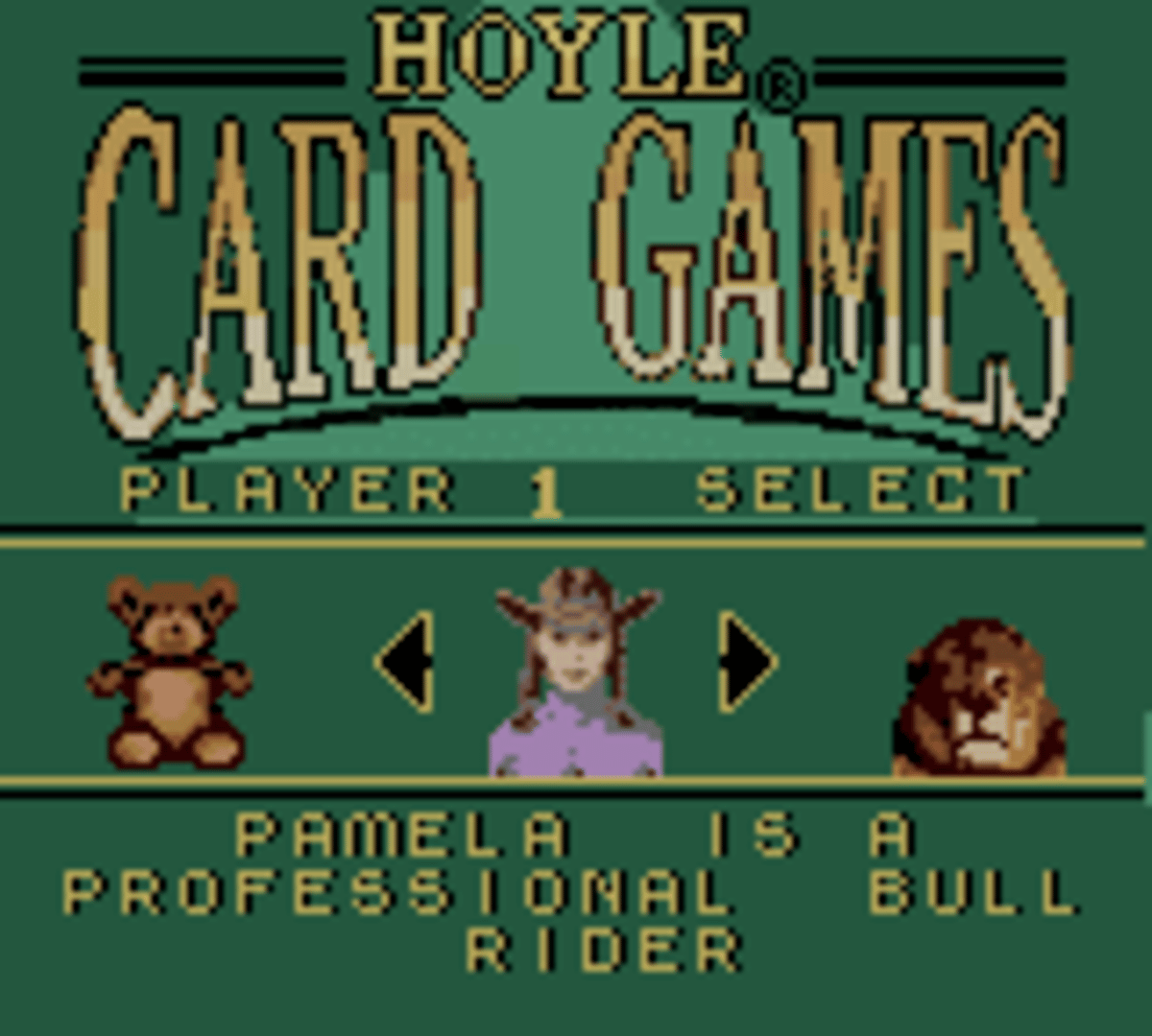 Hoyle Card Games screenshot