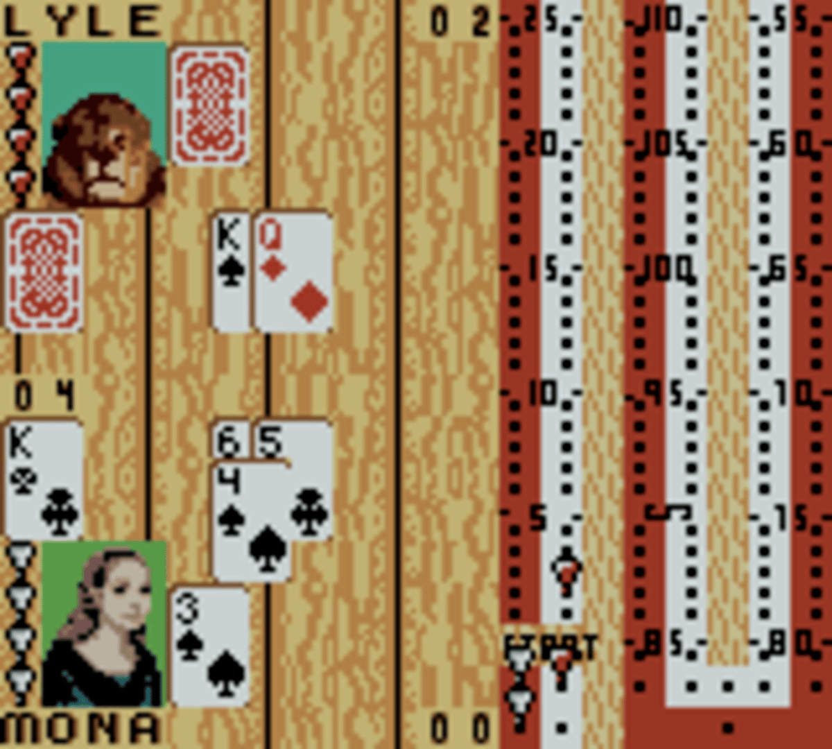 Hoyle Card Games screenshot