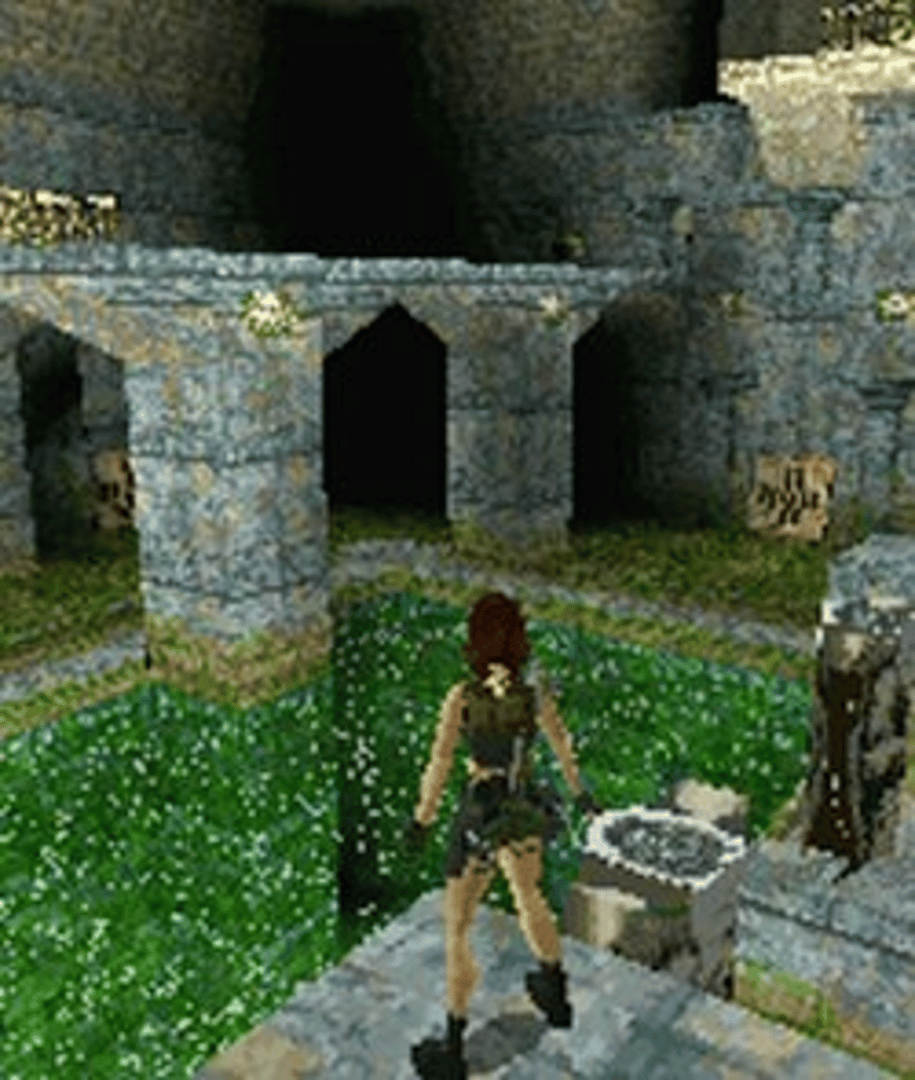 Tomb Raider screenshot