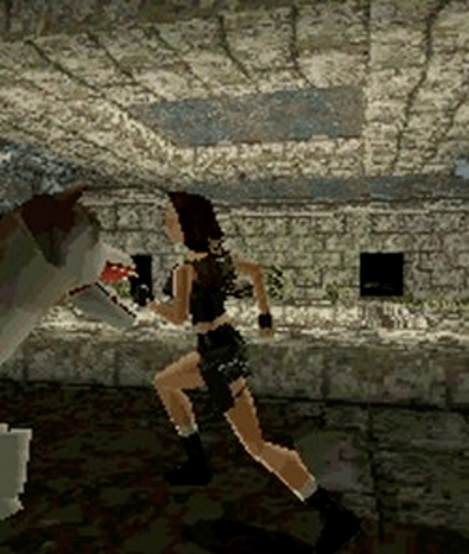 Tomb Raider screenshot