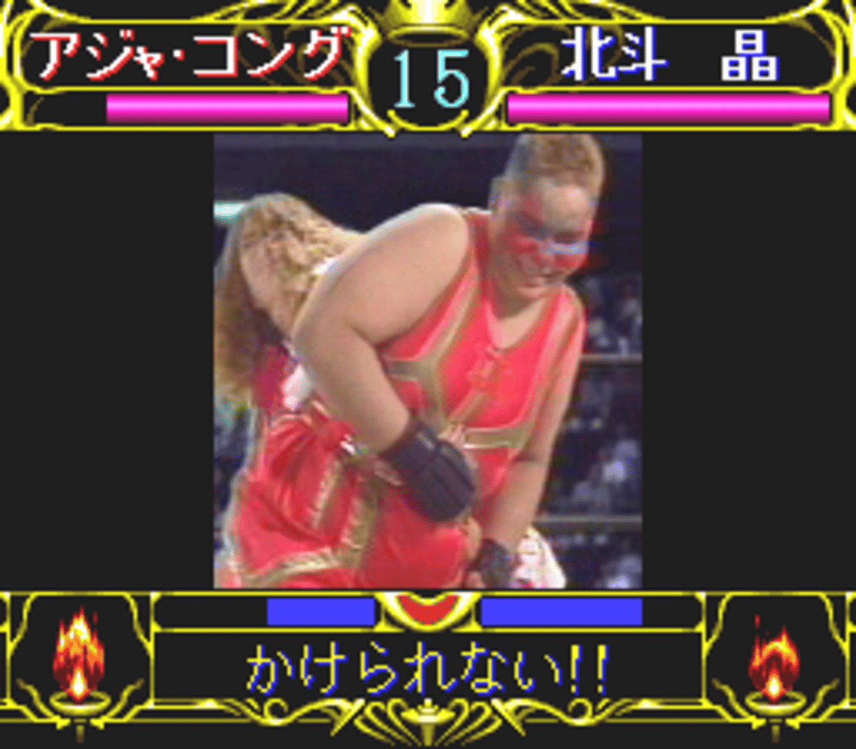 Zen-Nippon Joshi Pro Wrestling: Queen of Queens screenshot