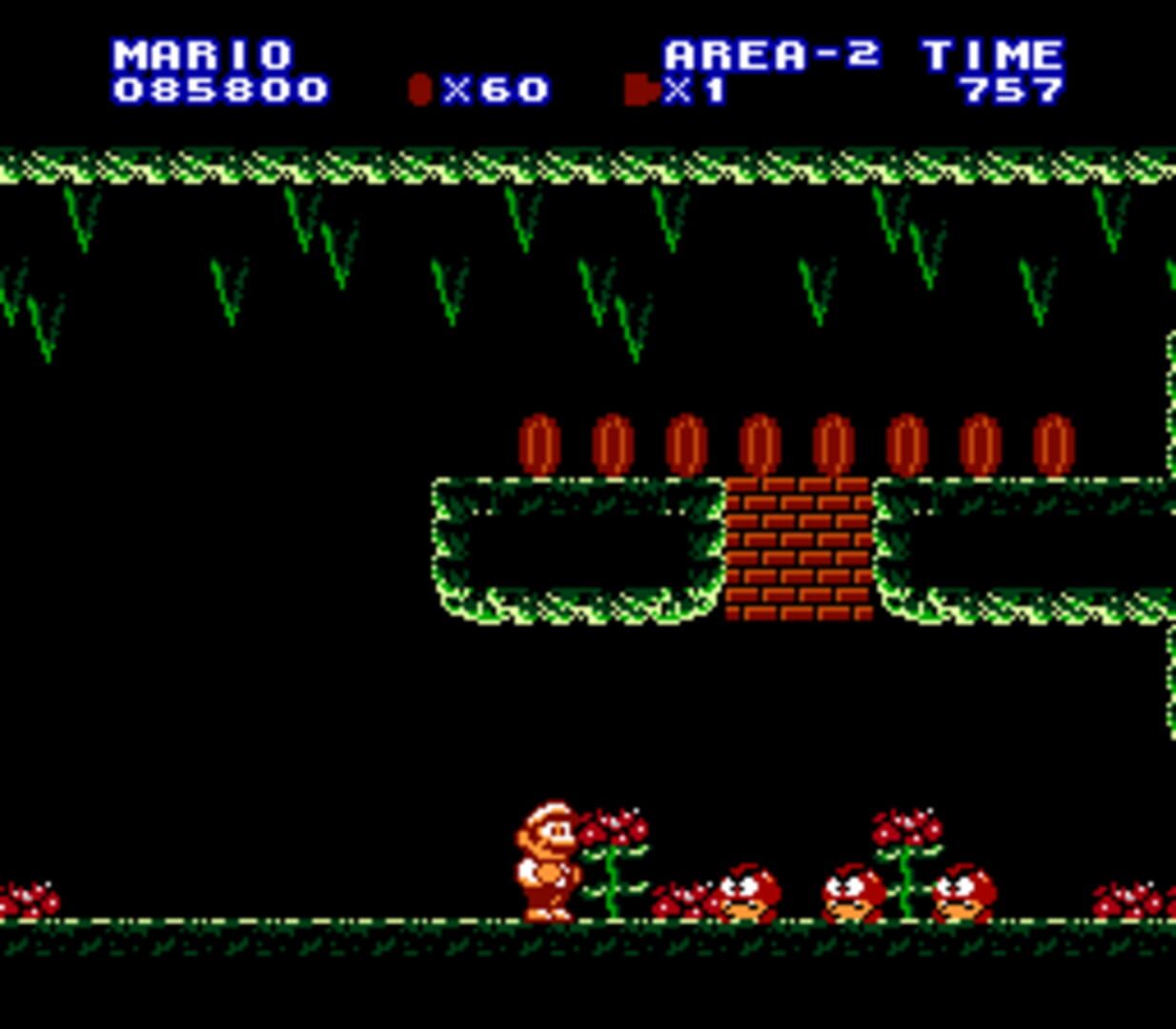 Captura de pantalla - Extra Mario Bros.