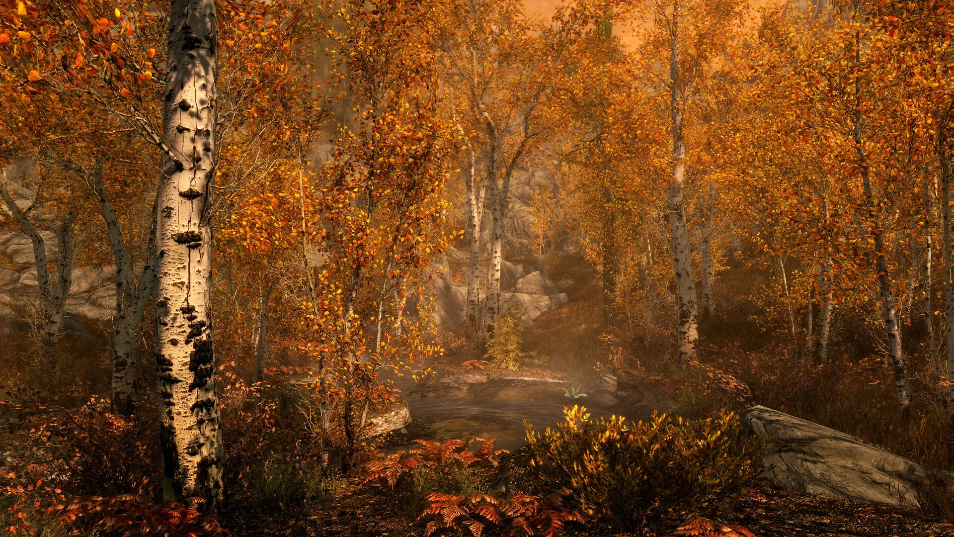 Captura de pantalla - The Elder Scrolls V: Skyrim - Anniversary Edition