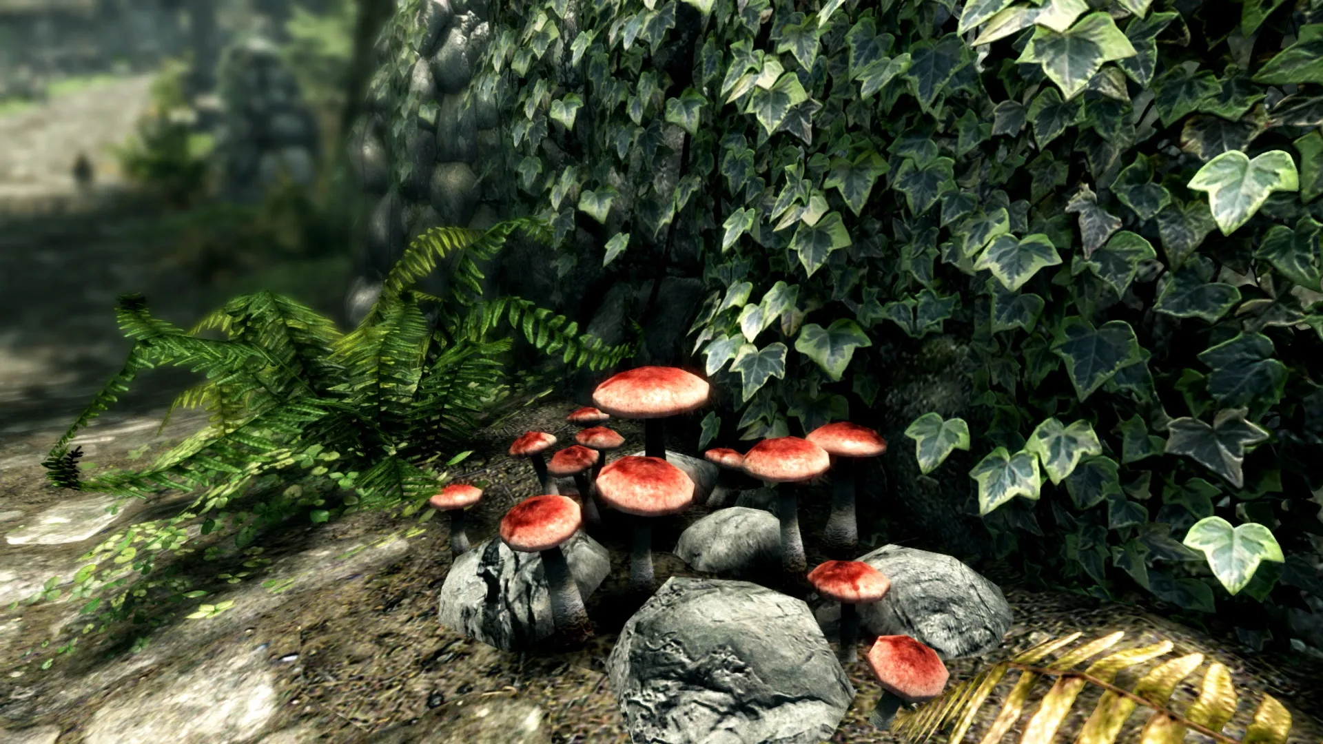 Captura de pantalla - The Elder Scrolls V: Skyrim - Anniversary Edition