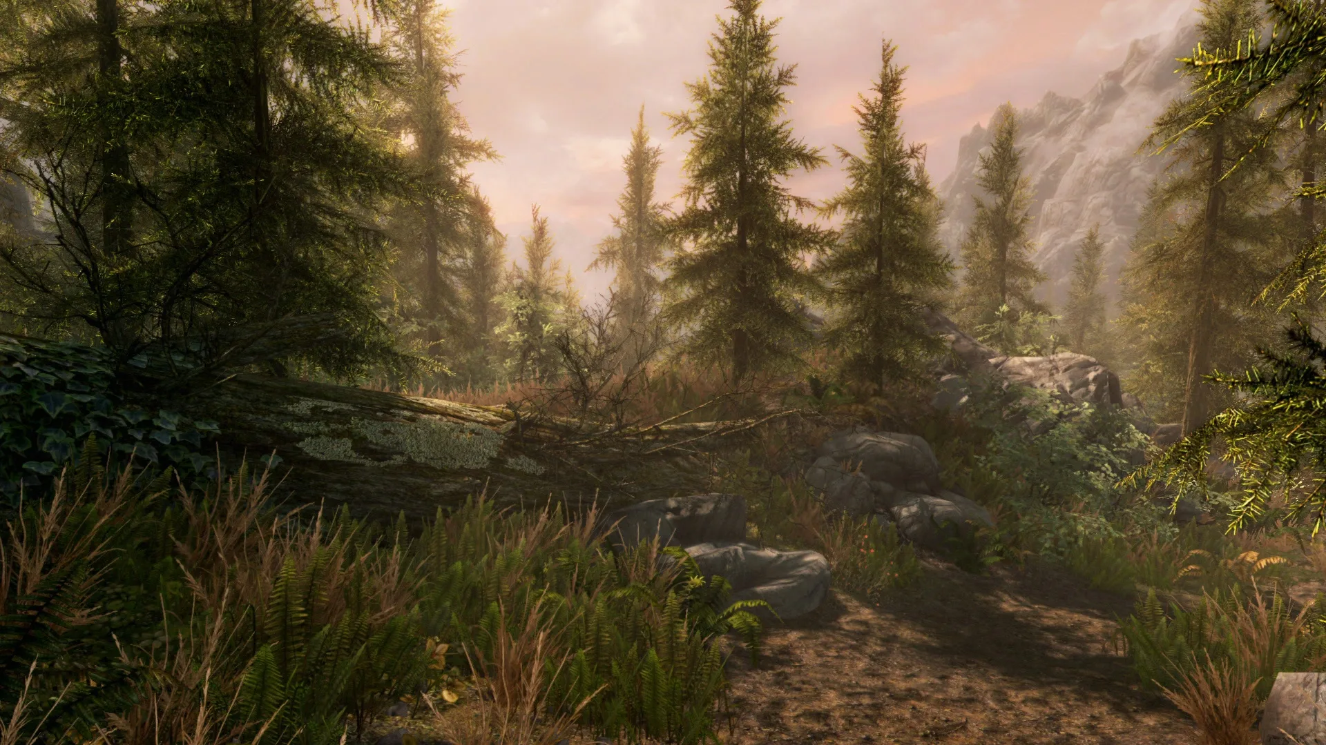 Captura de pantalla - The Elder Scrolls V: Skyrim - Anniversary Edition