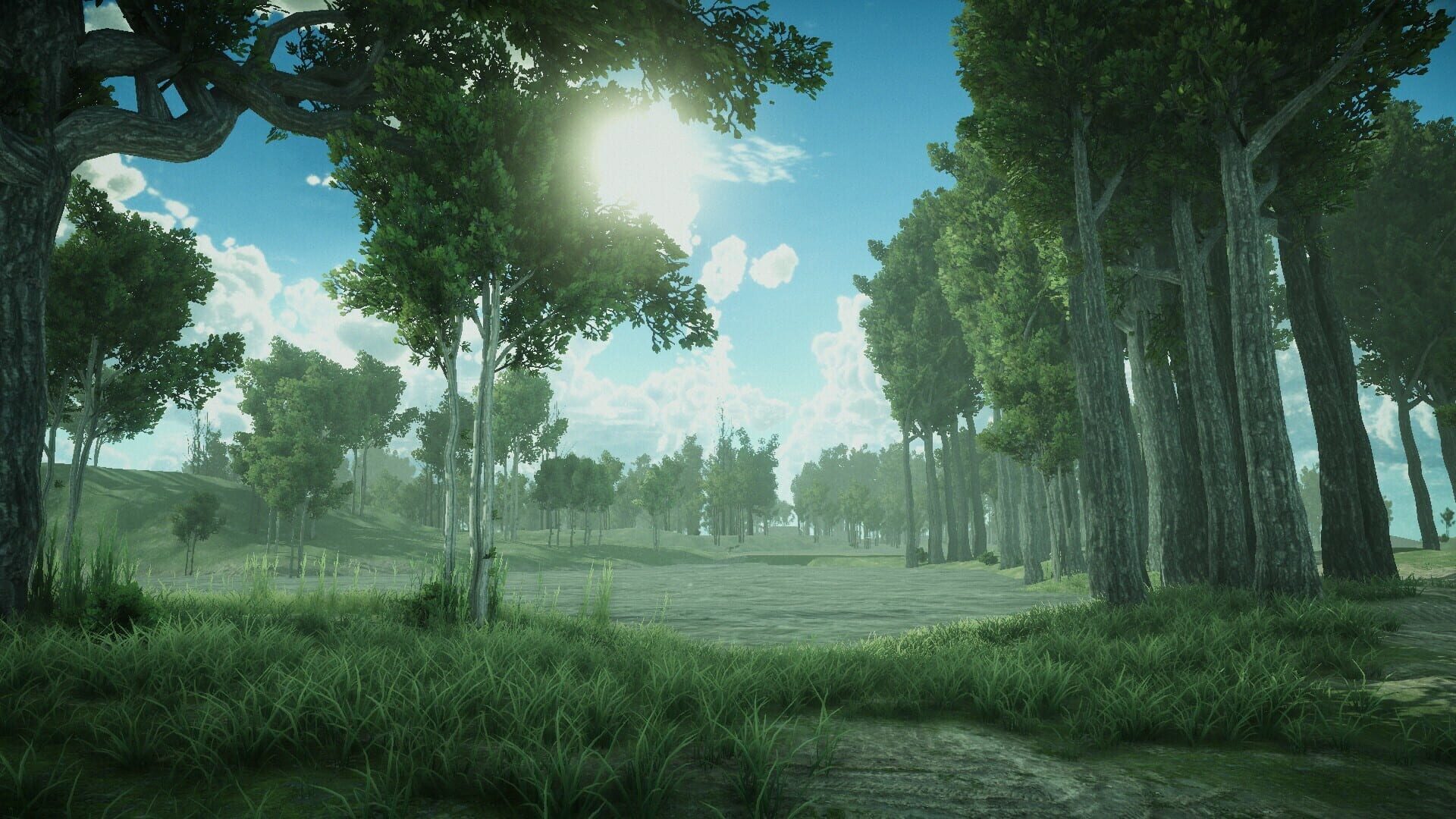 Forest Spring - Screenshot