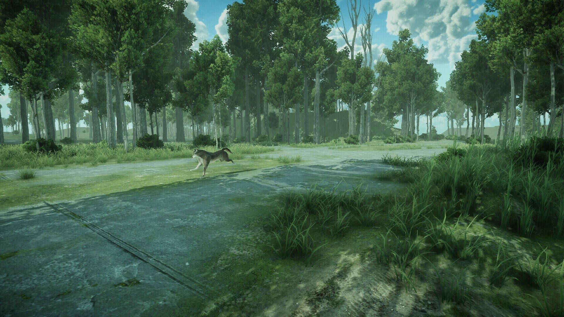 Forest Spring - Screenshot