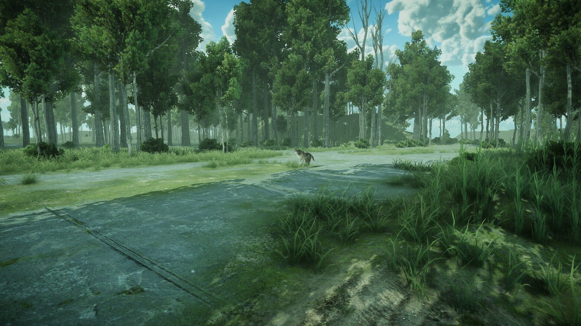 Forest Spring - Screenshot