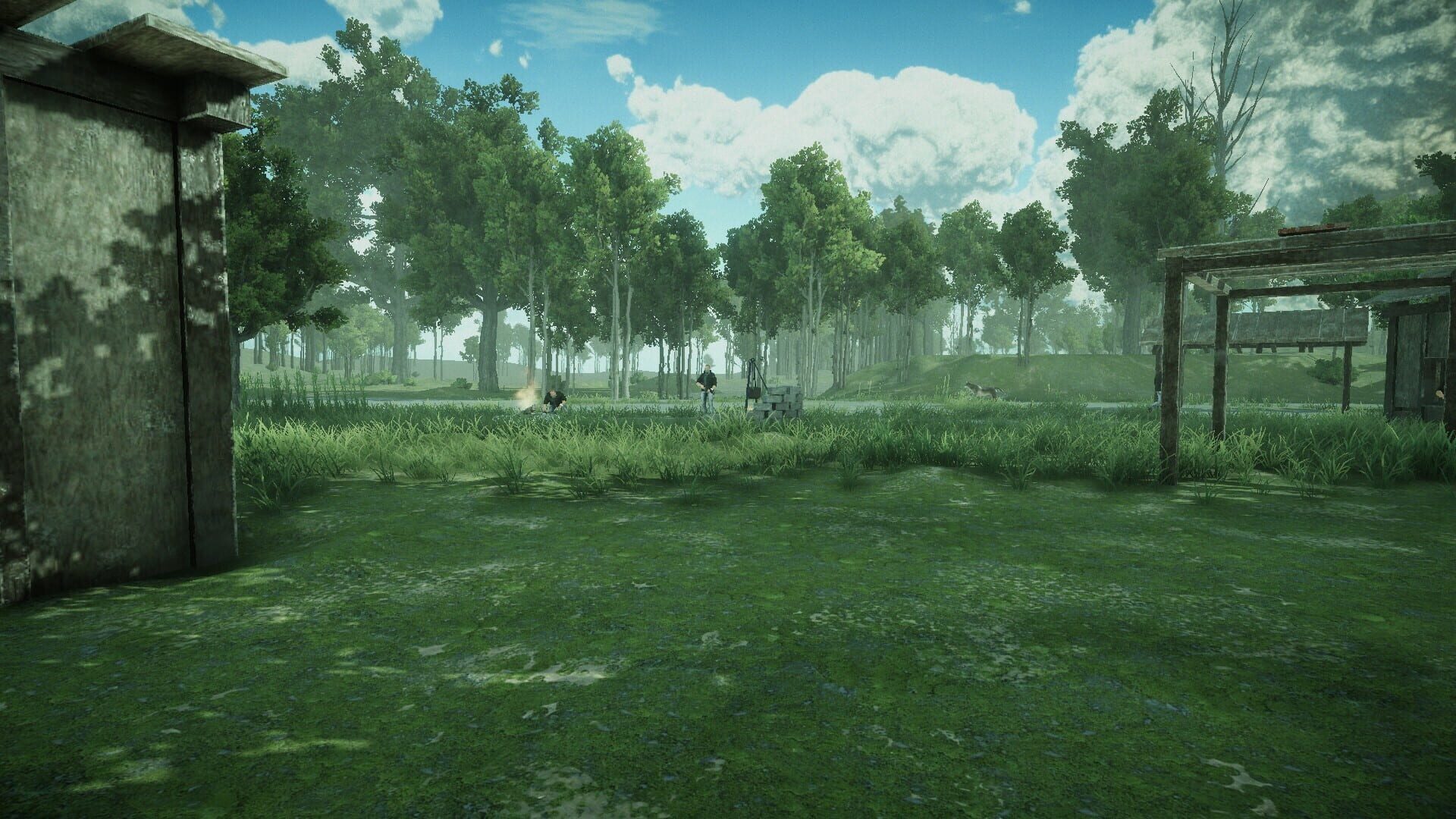 Forest Spring - Screenshot