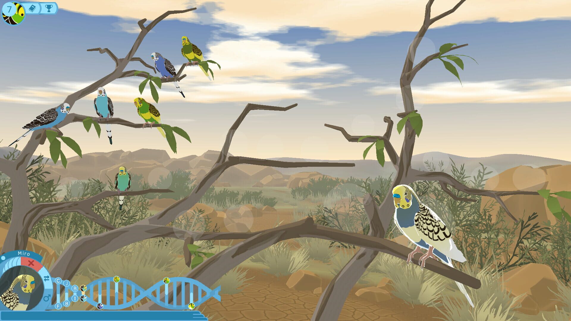 Budgie Genetics Simulator - Screenshot