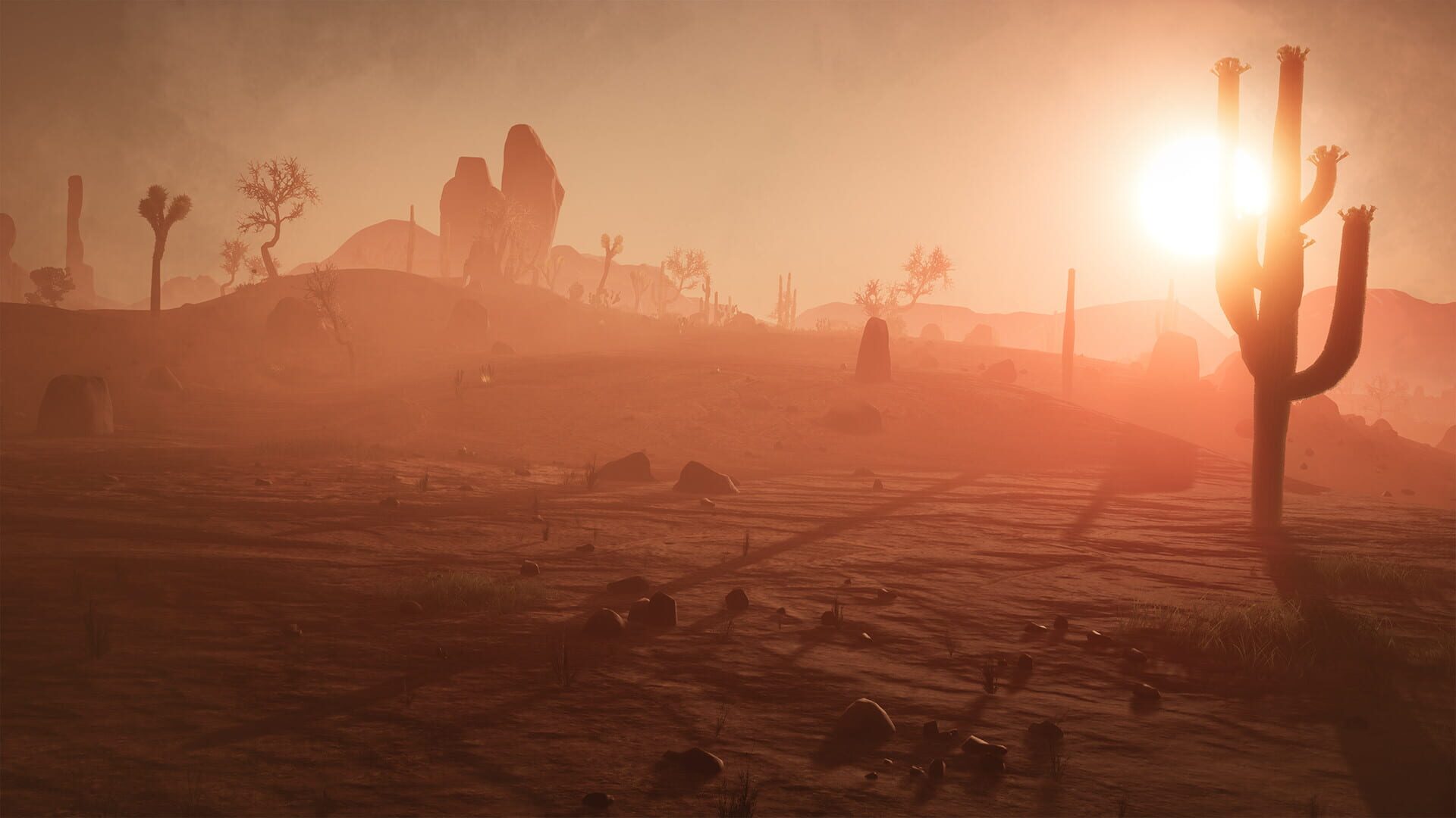 Deadly Desert - Screenshot