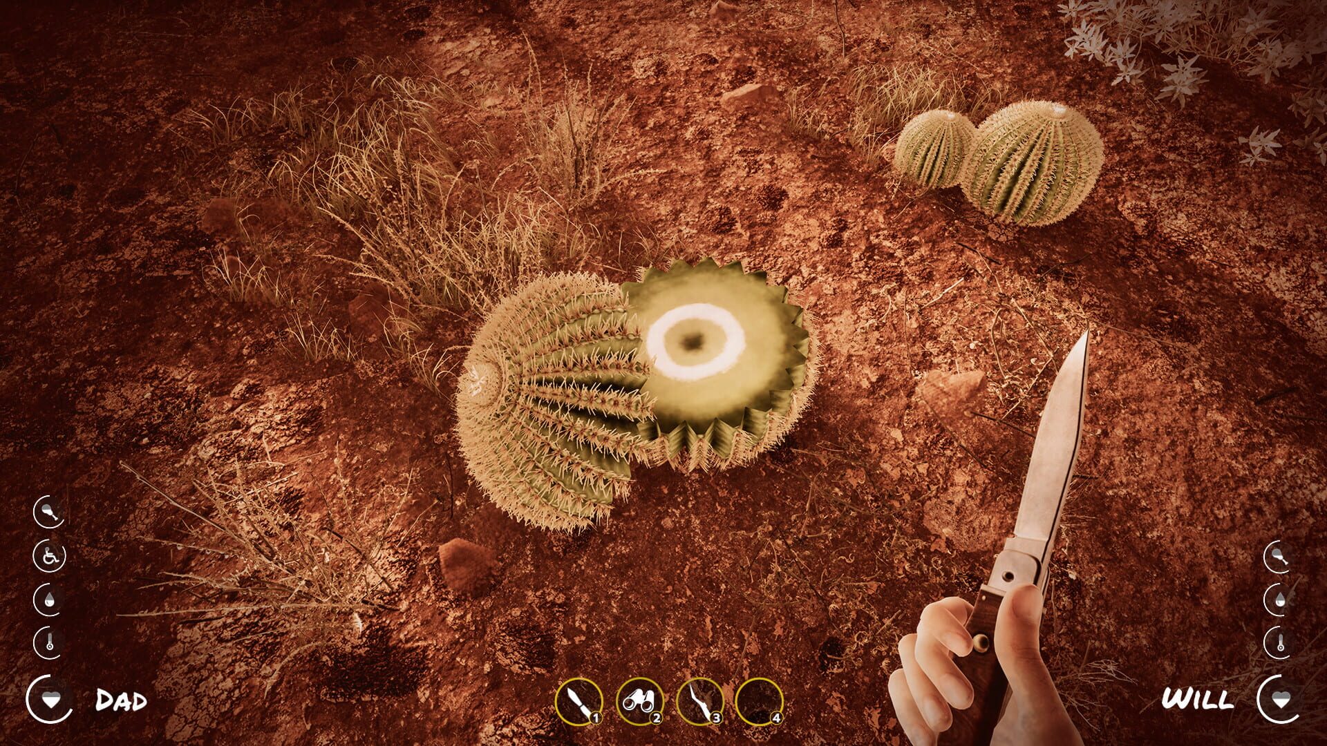 Deadly Desert - Screenshot
