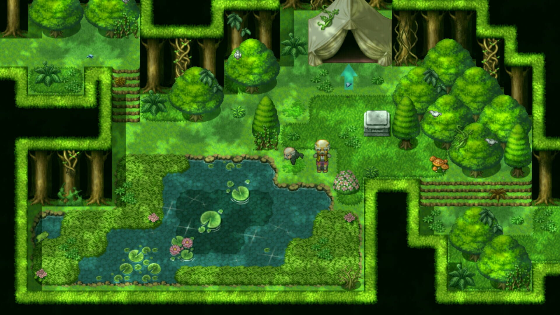 The Senex Bird - Screenshot
