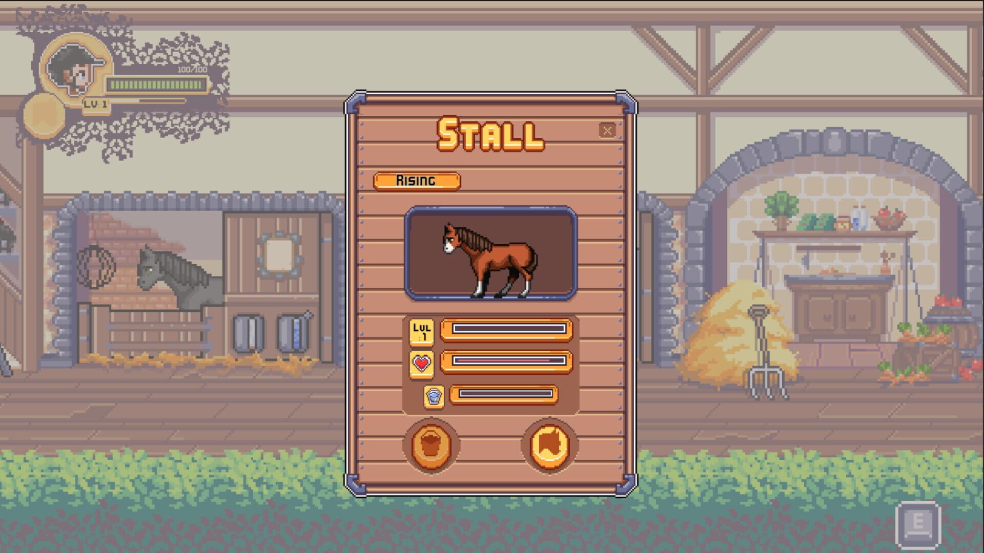 Rising Star: The Horse Game - Screenshot