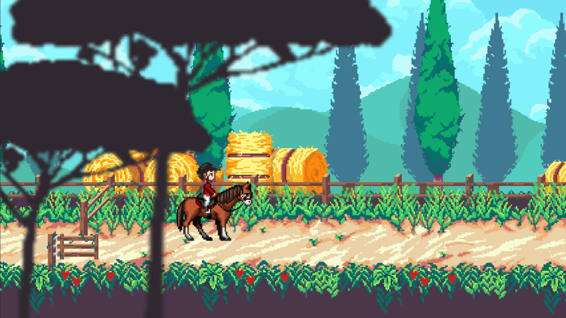 Rising Star: The Horse Game - Screenshot
