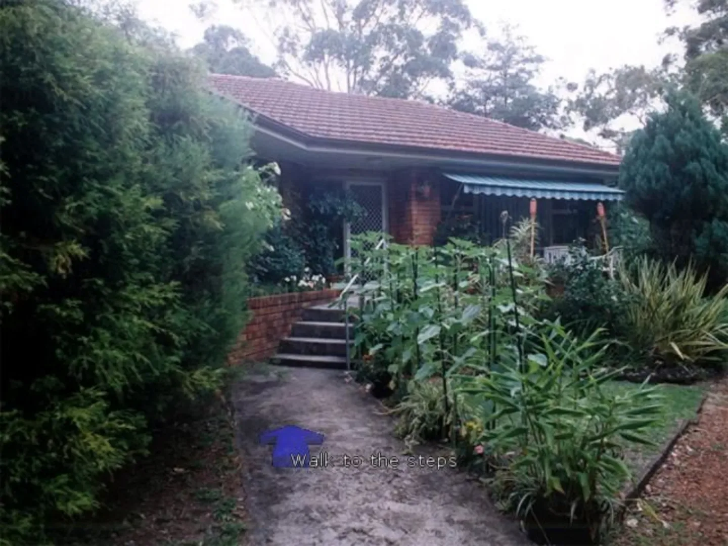 The Sydney Mystery