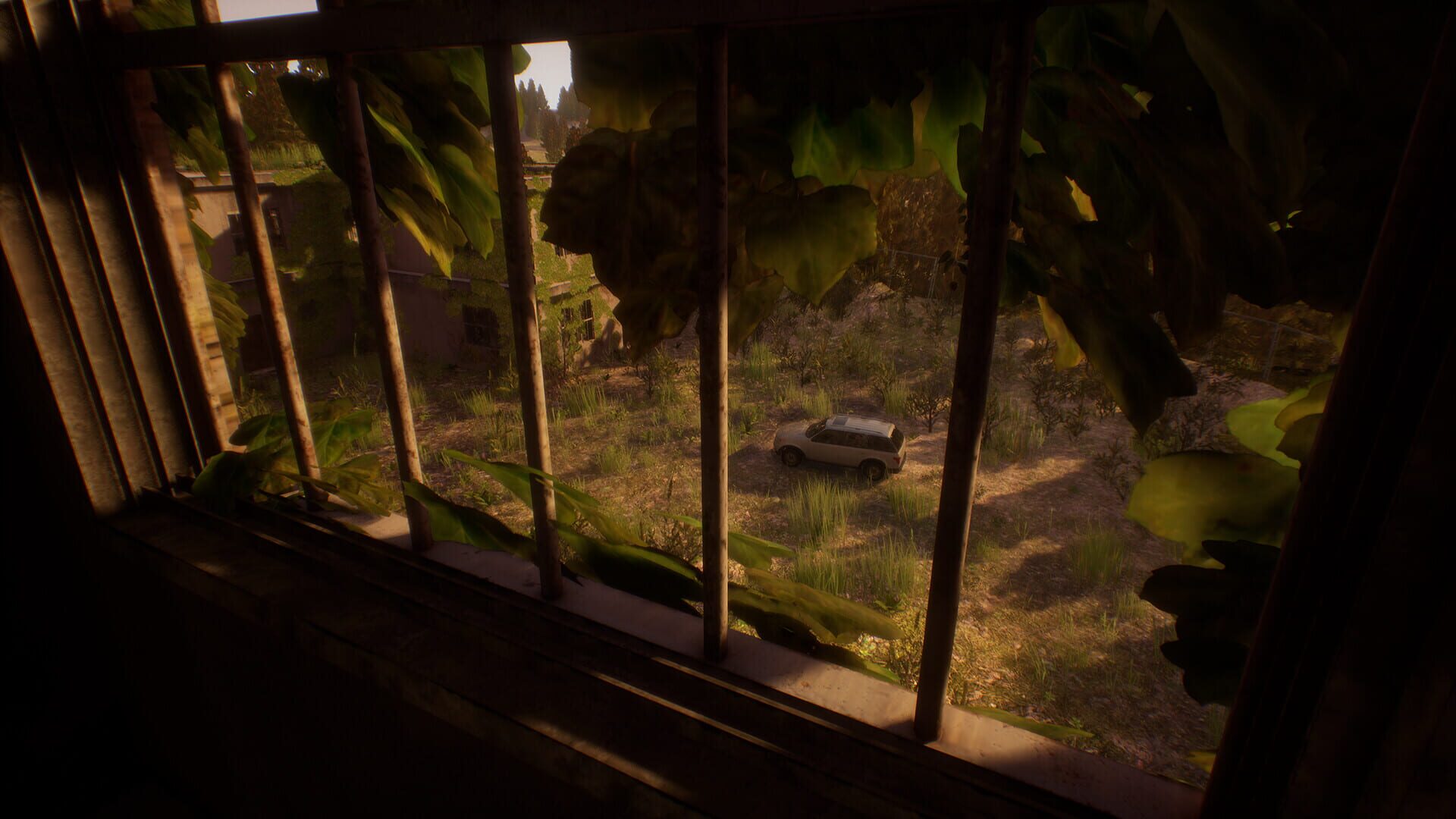 Haunted: Live - Screenshot