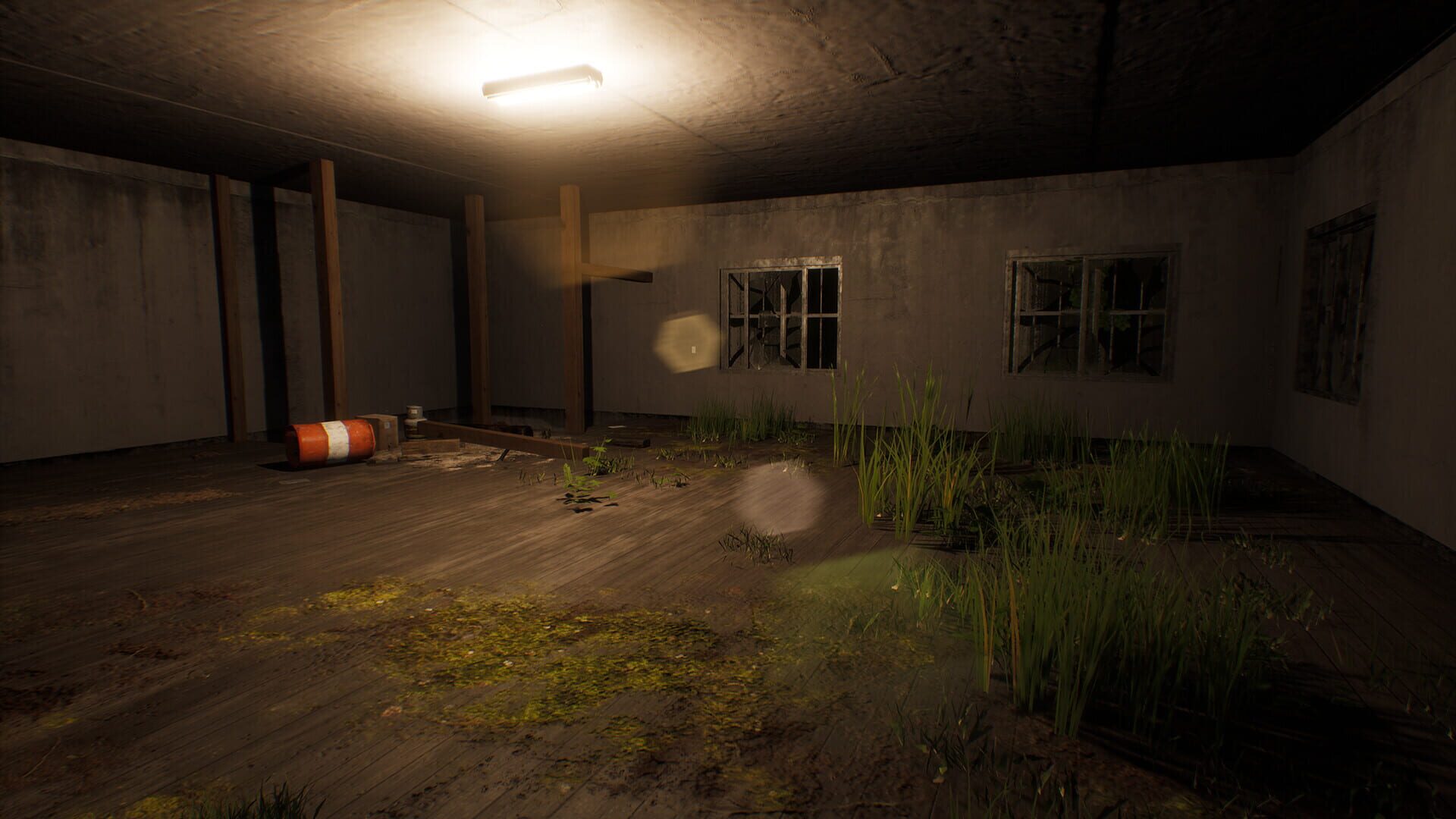 Haunted: Live - Screenshot