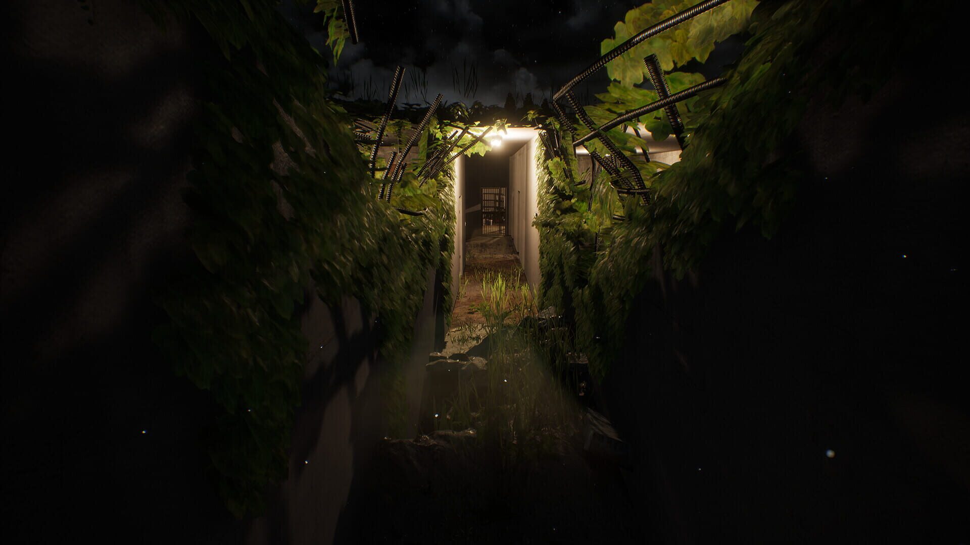 Haunted: Live - Screenshot