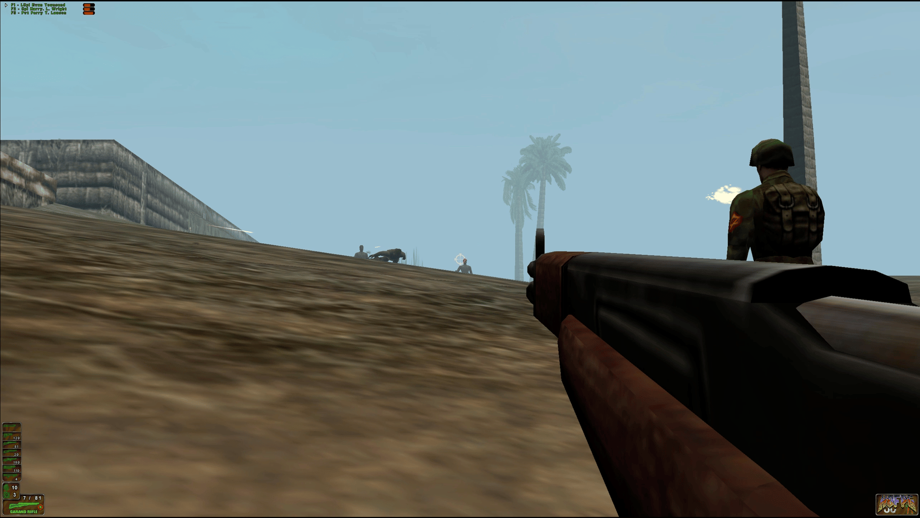 WWII Combat: Iwo Jima screenshot