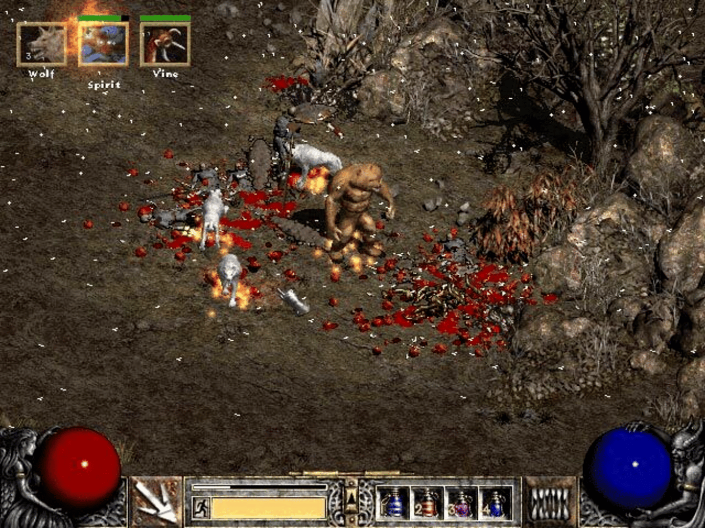 Diablo II screenshot