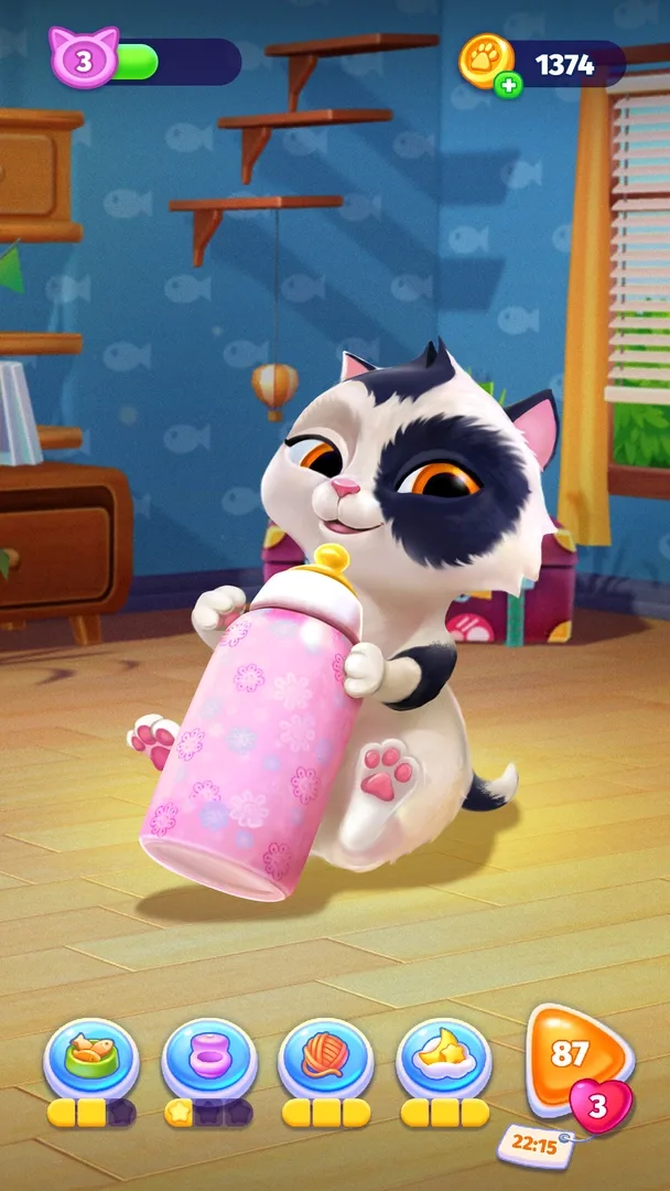 My Cat