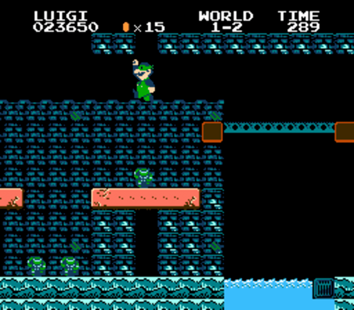 Teenage Super Ninja Plumbers screenshot