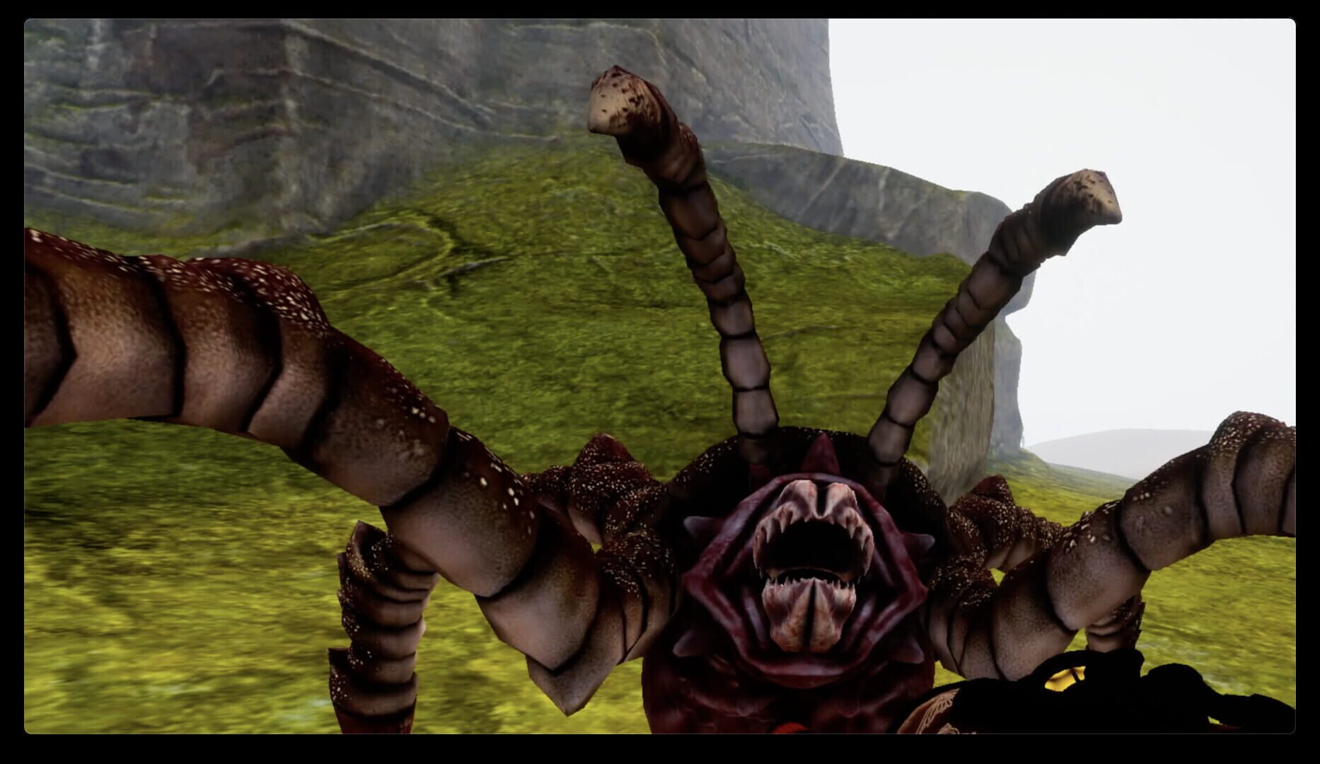 Patagon - Screenshot
