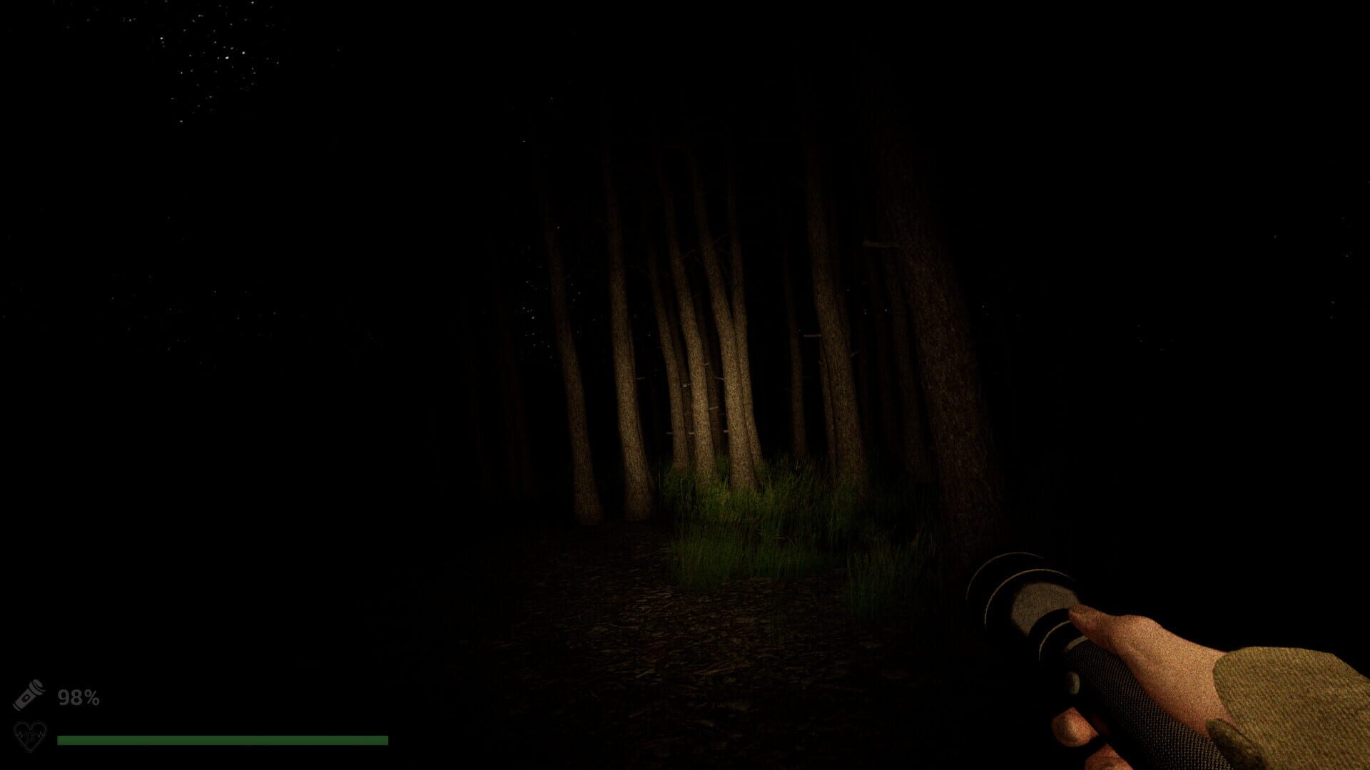 Park Ranger: Lost in the Woods - Screenshot