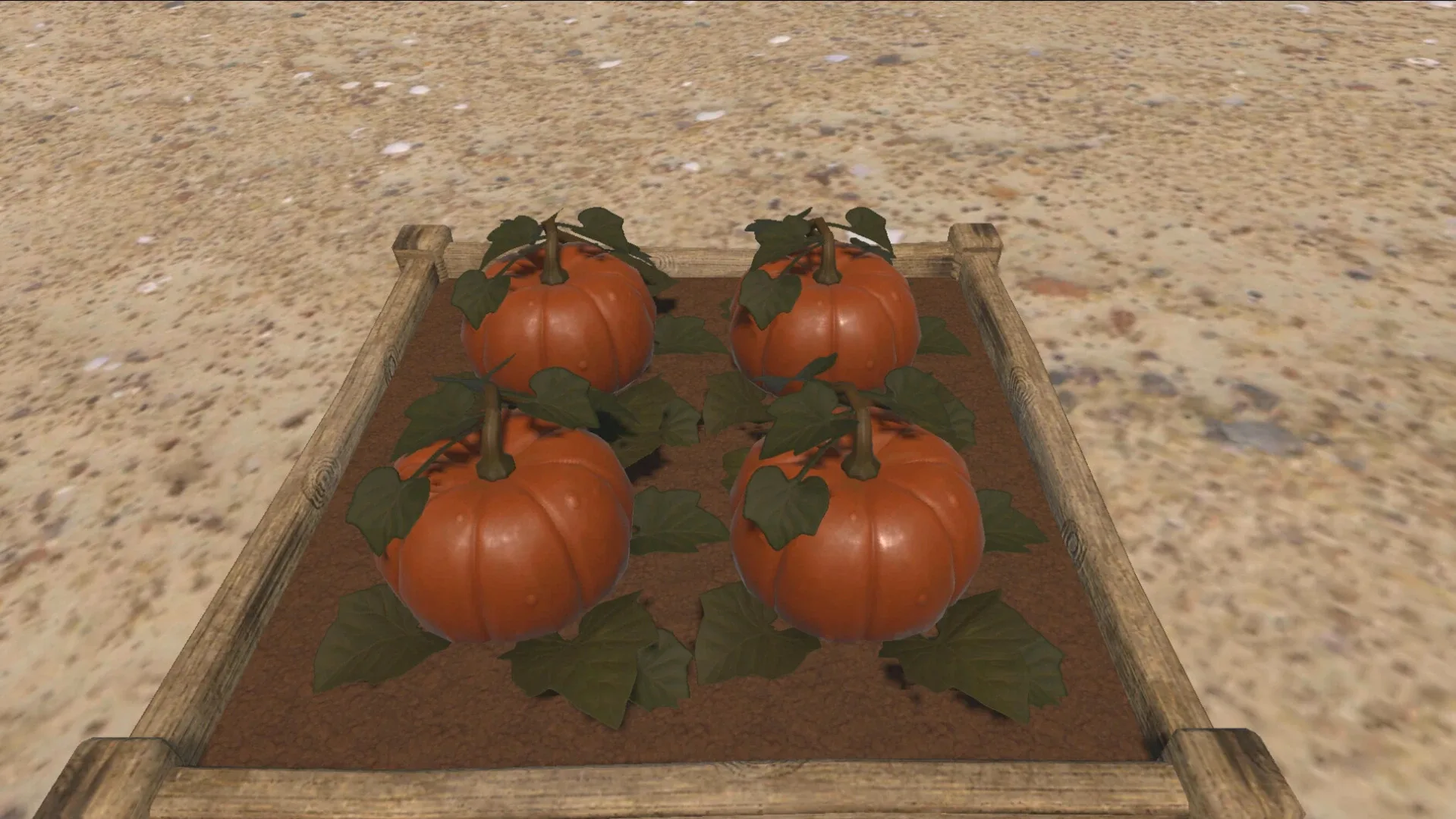 Thumbnail 11