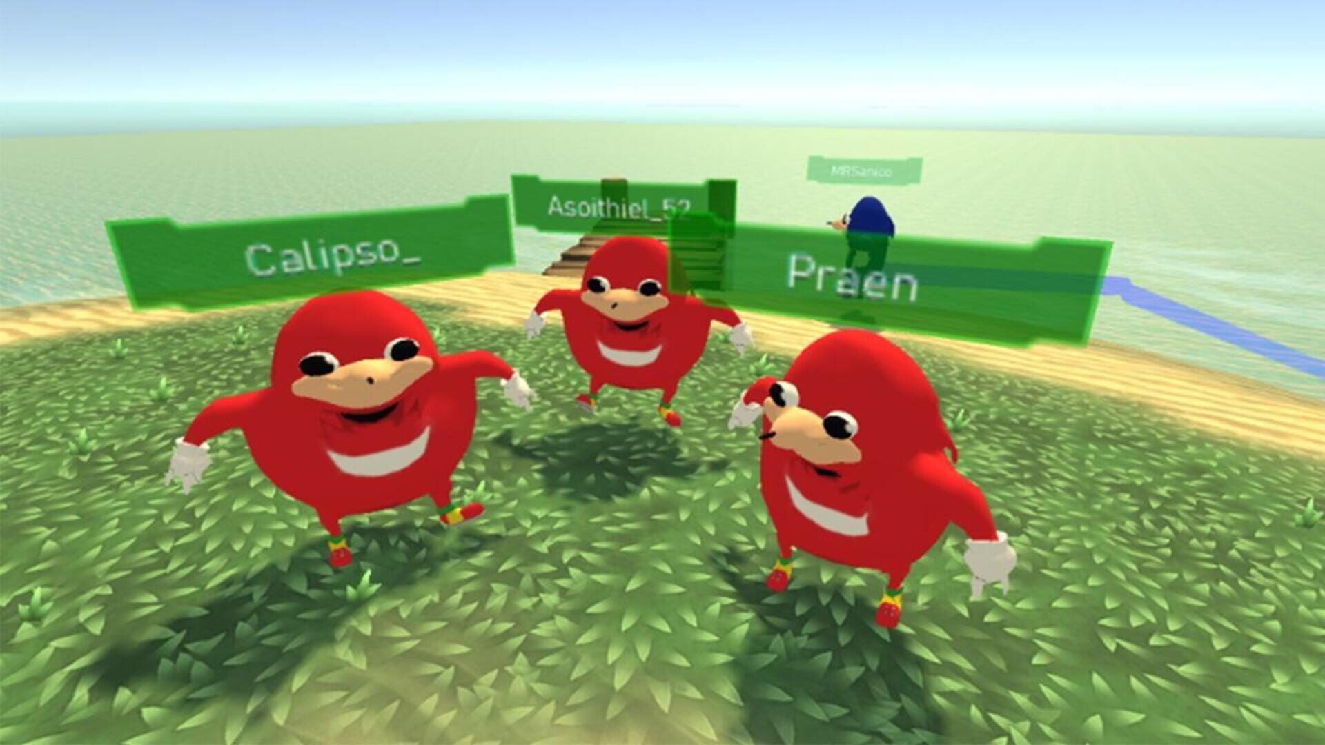 Ugandan Knuckles VR - Screenshot