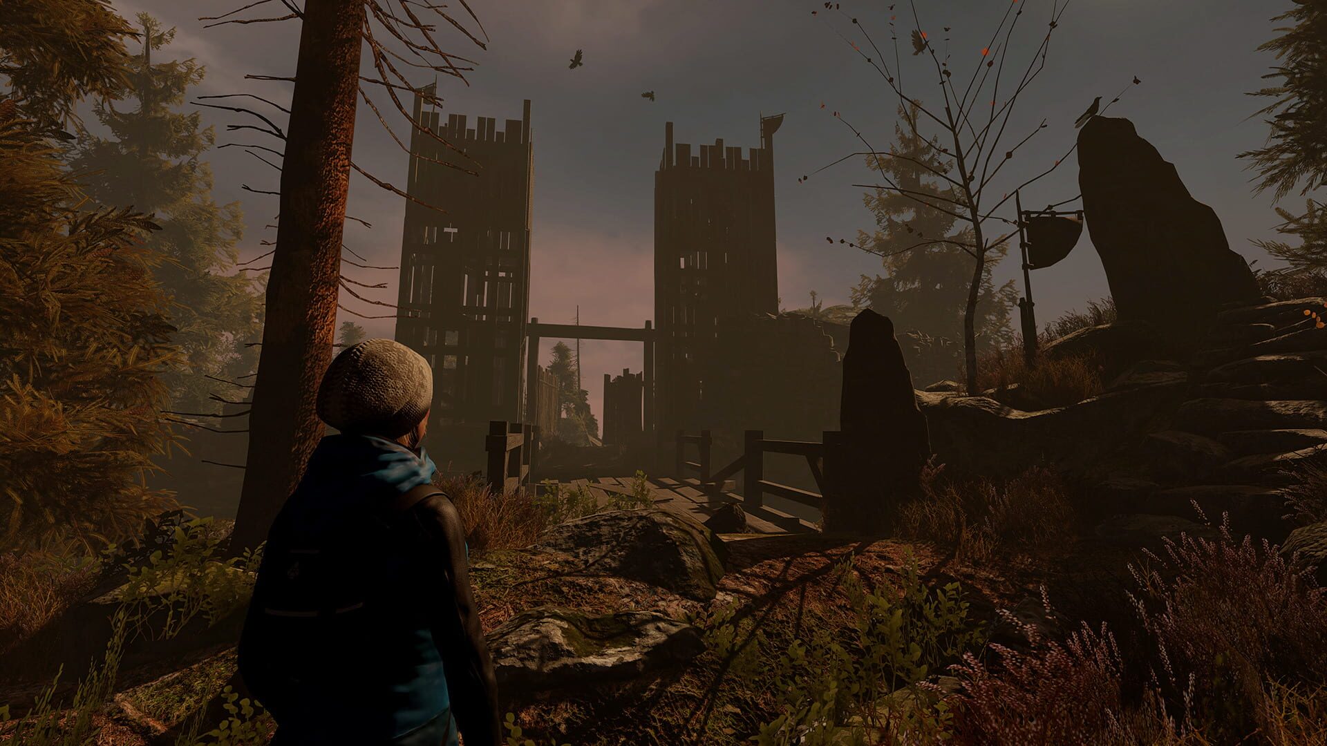 Through the Woods: Collector's Edition - Screenshot