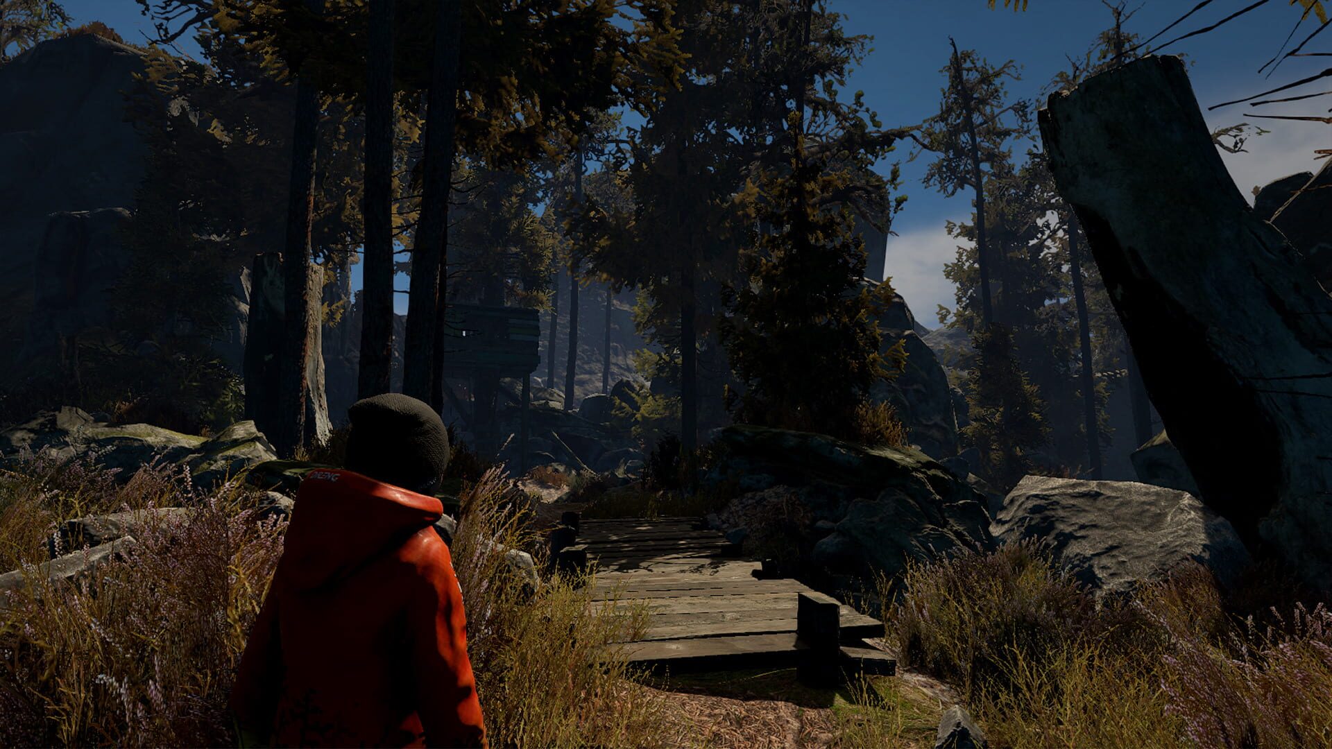 Through the Woods: Collector's Edition - Screenshot