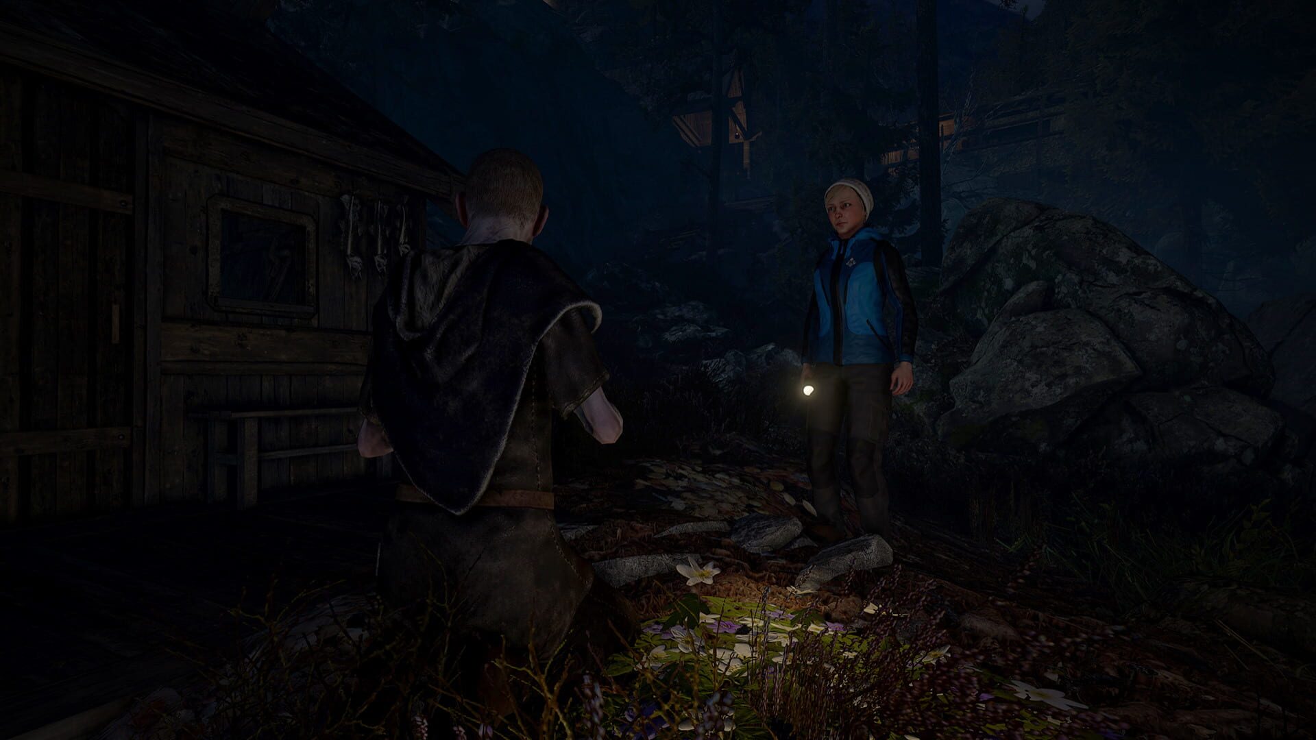 Through the Woods: Collector's Edition - Screenshot