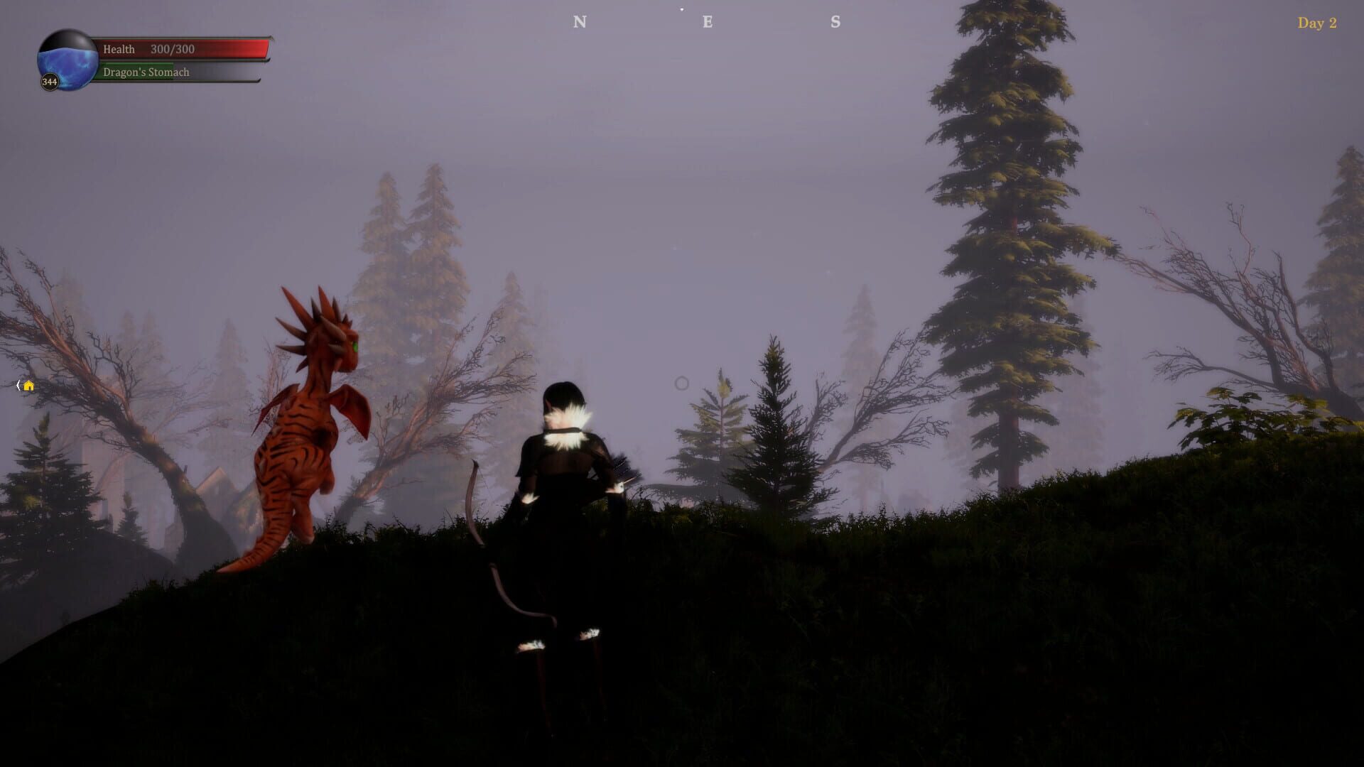 Dragon & Archer - Screenshot