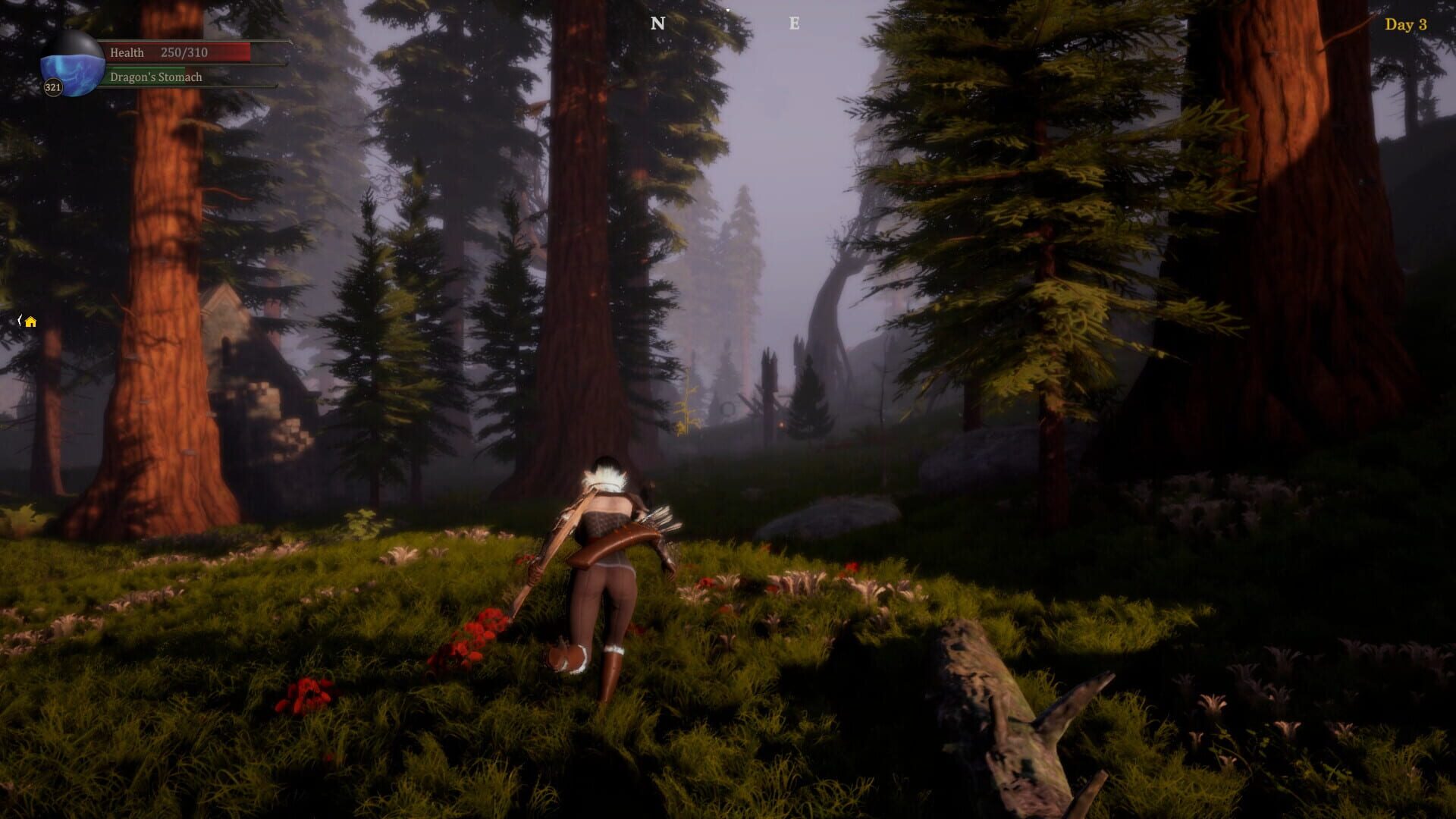 Dragon & Archer - Screenshot