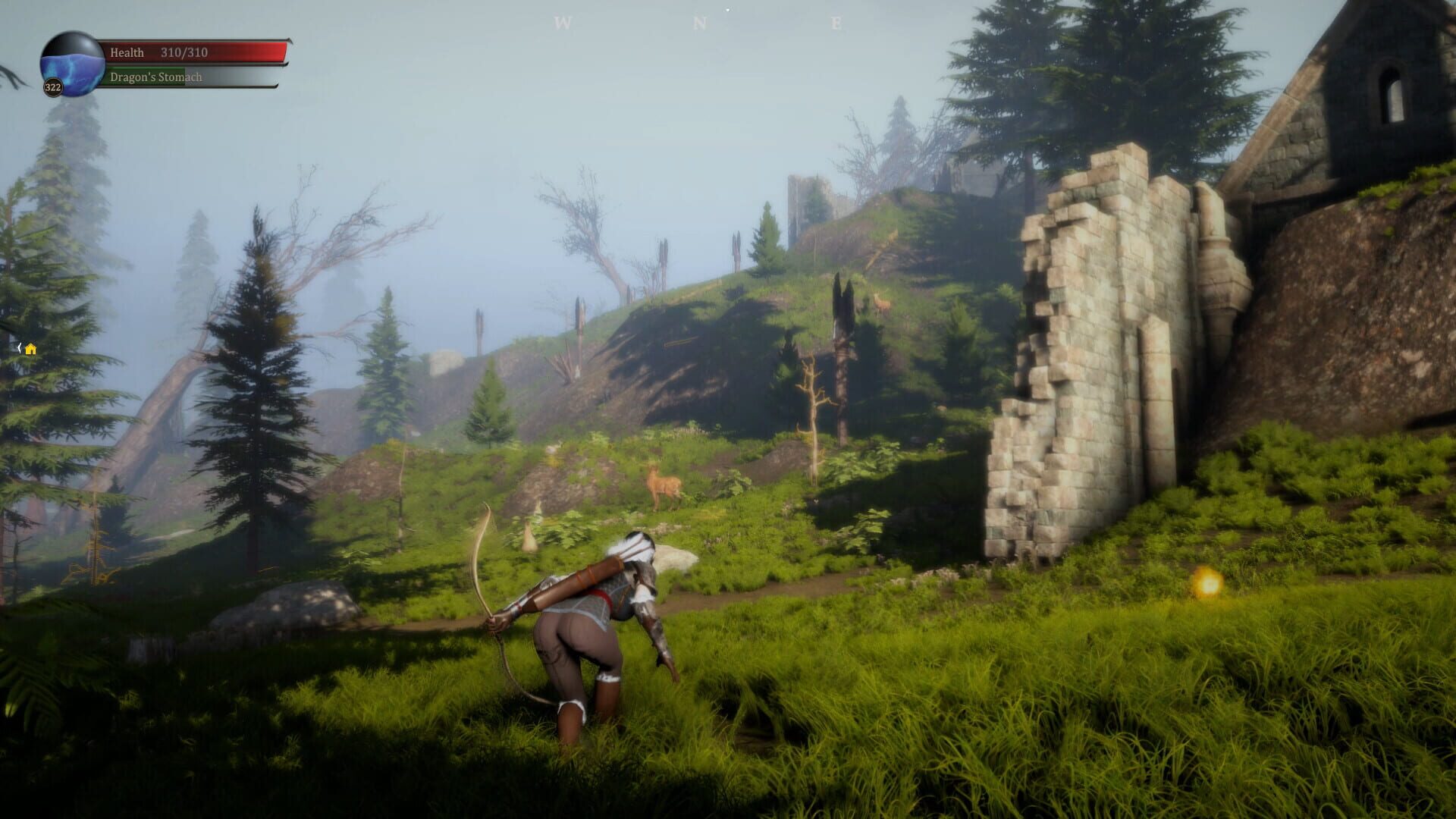 Dragon & Archer - Screenshot