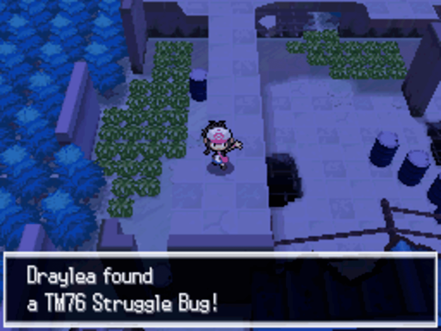 Pokémon Volt White screenshot