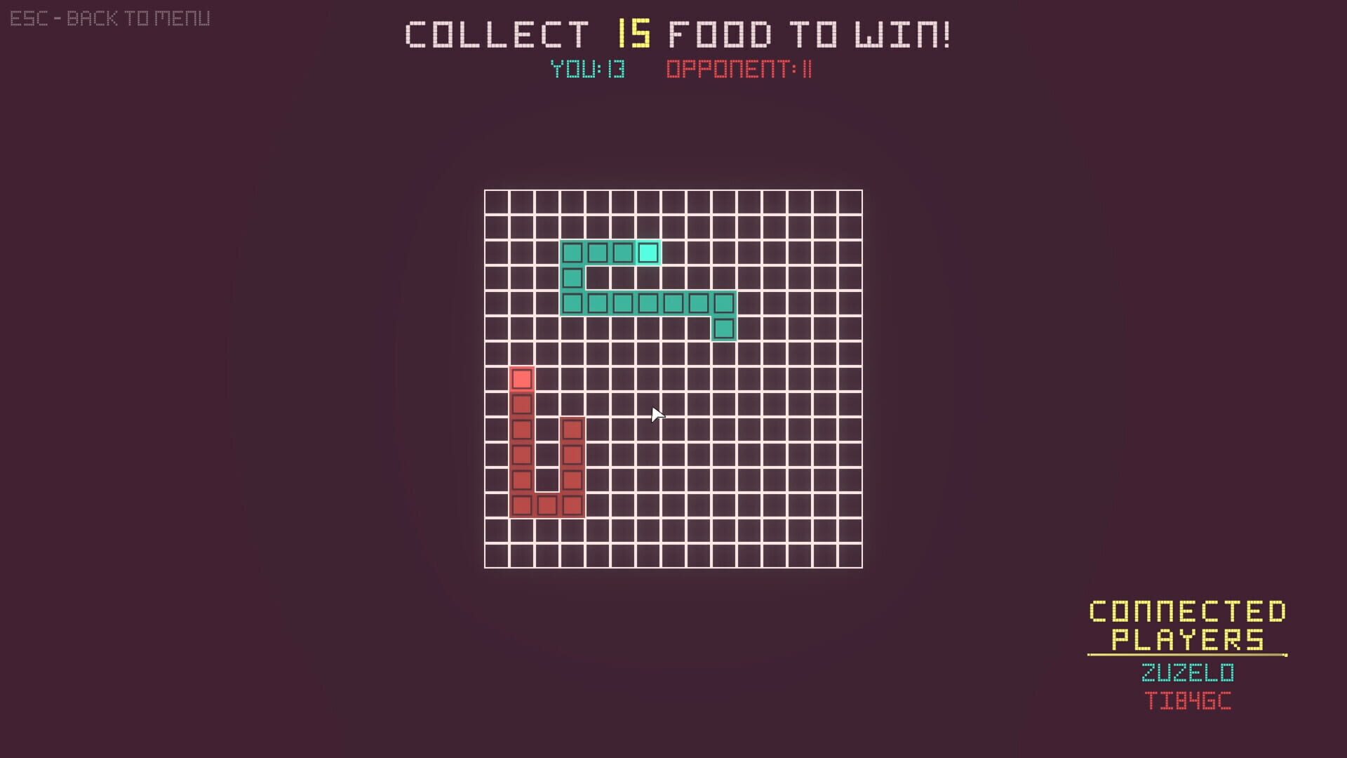 SnekMP - Screenshot