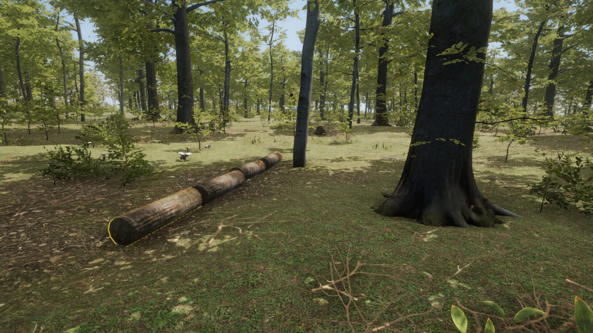 The Seekers: Survival - Screenshot