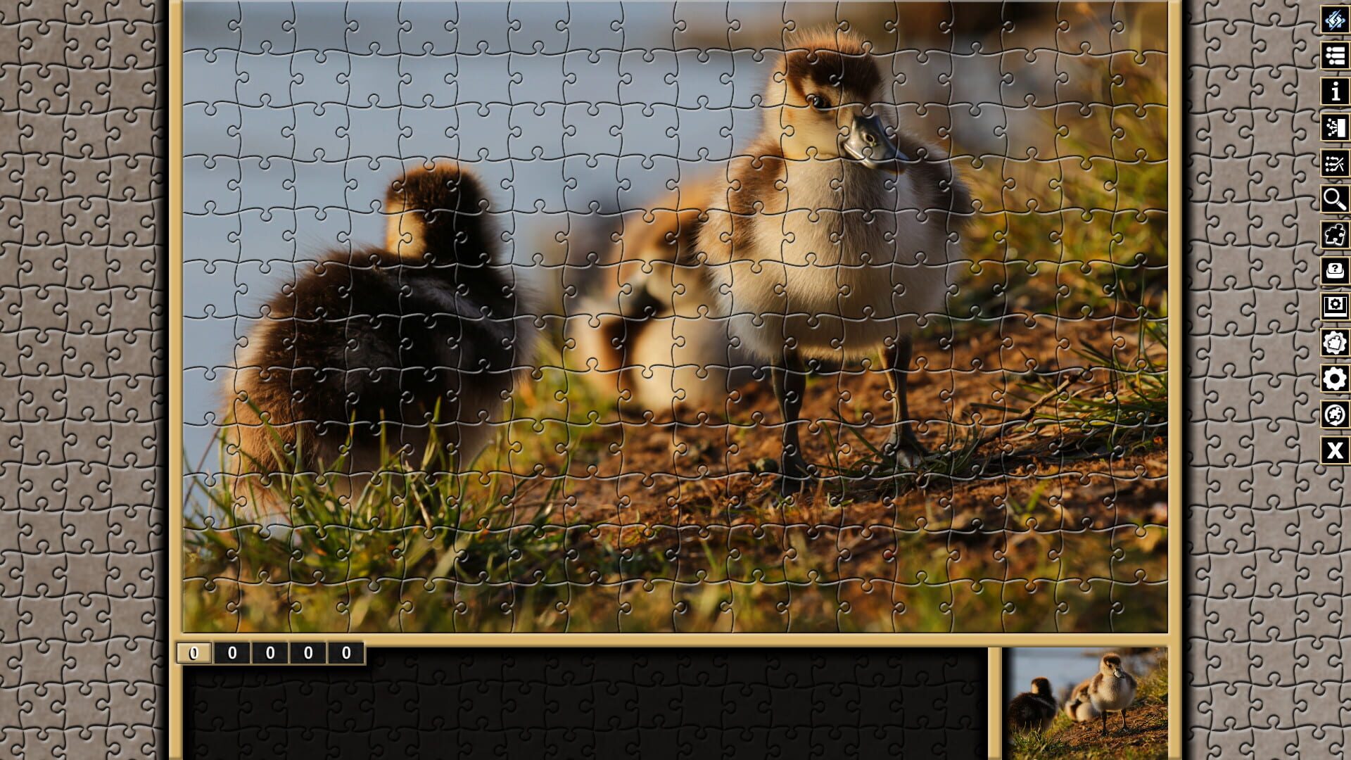 Pixel Puzzles Traditional Jigsaws: Pack - Variety Pack 4 - Screenshot