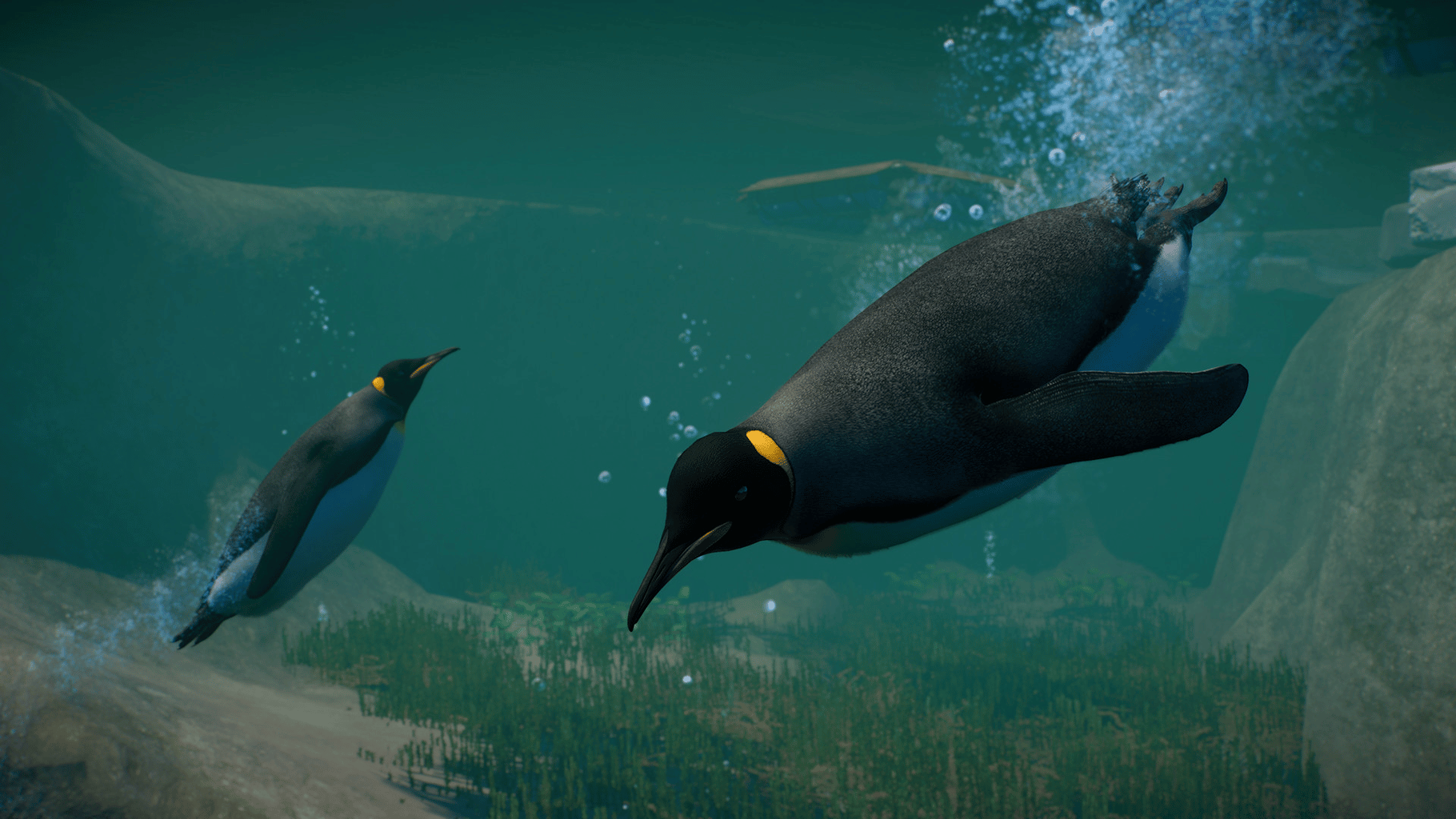 Planet Zoo: Aquatic Pack screenshot