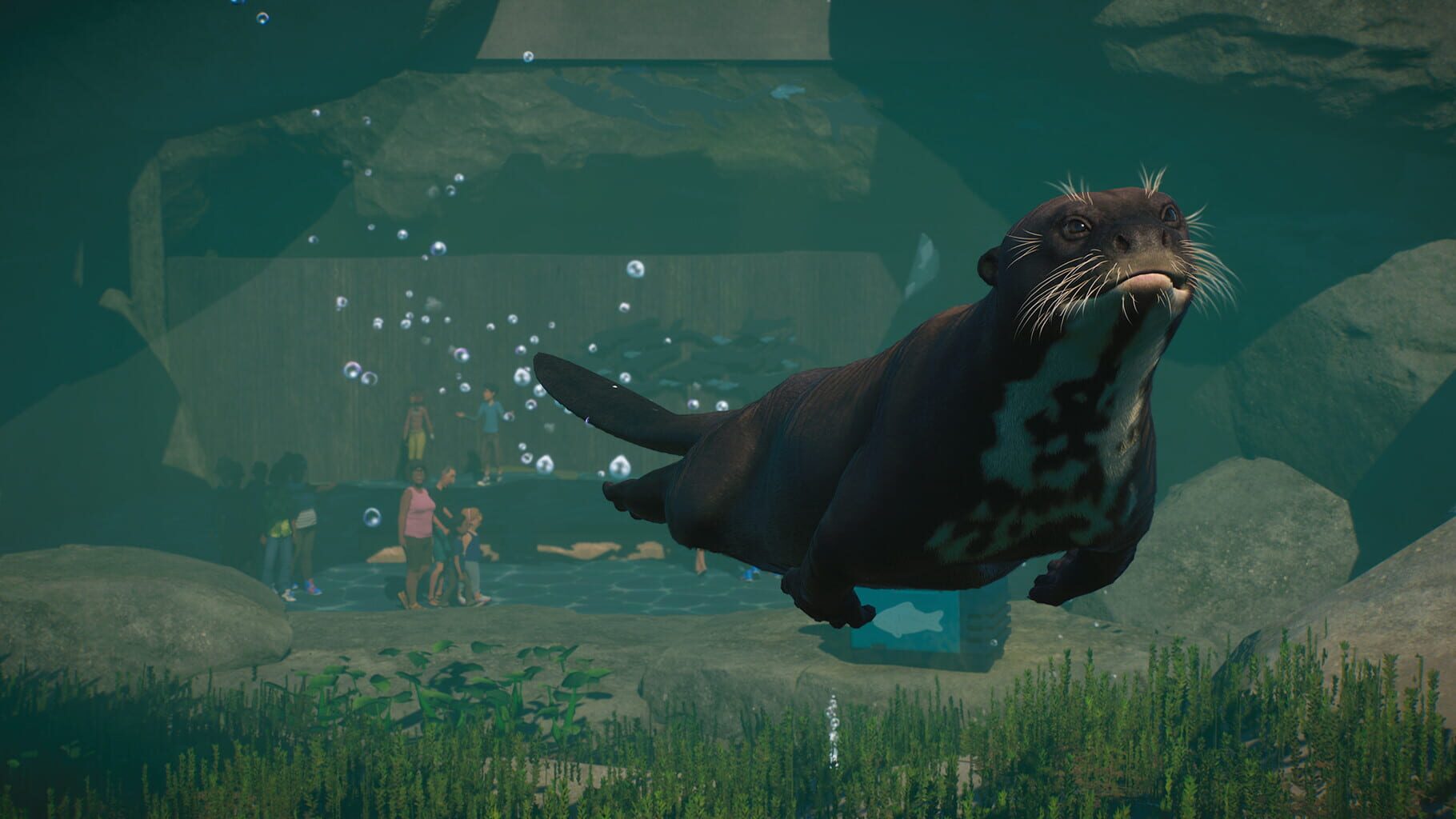 Captura de pantalla - Planet Zoo: Aquatic Pack