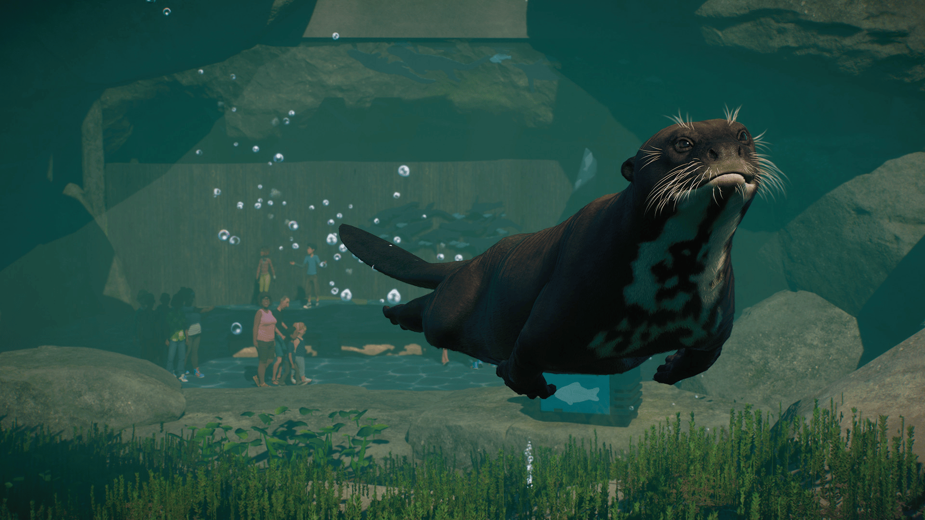 Planet Zoo: Aquatic Pack screenshot