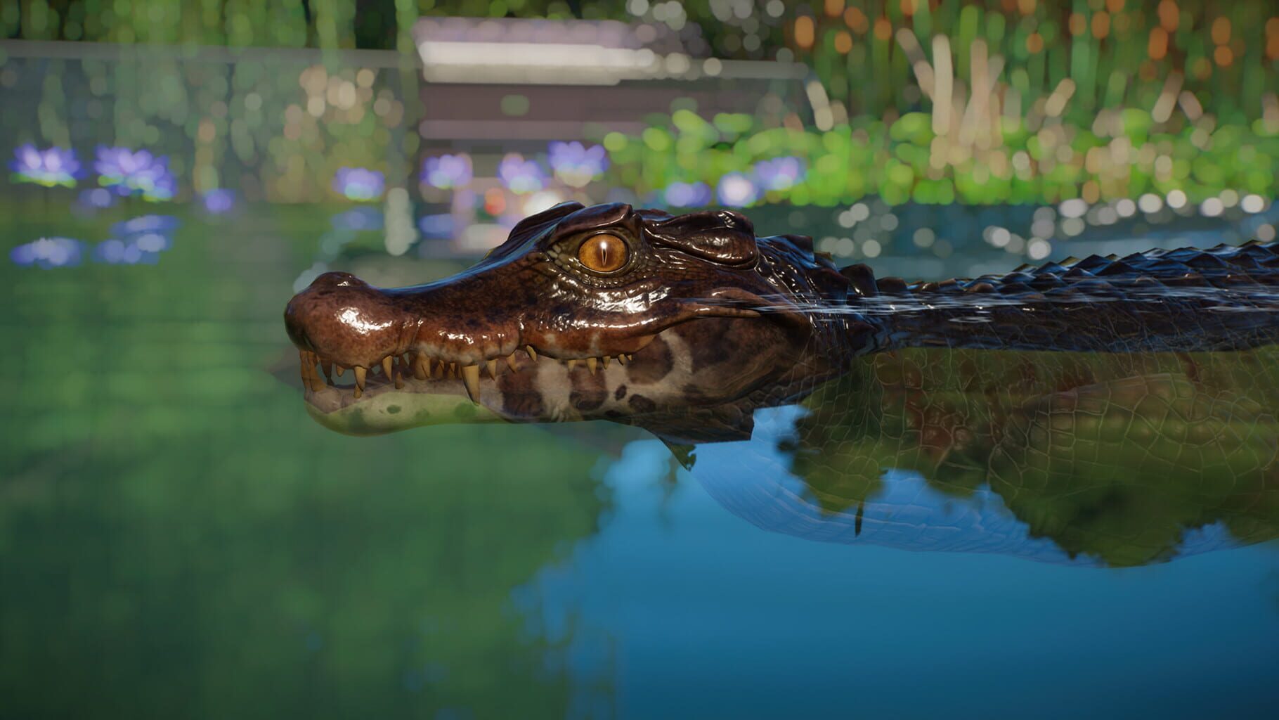 Captura de pantalla - Planet Zoo: Aquatic Pack