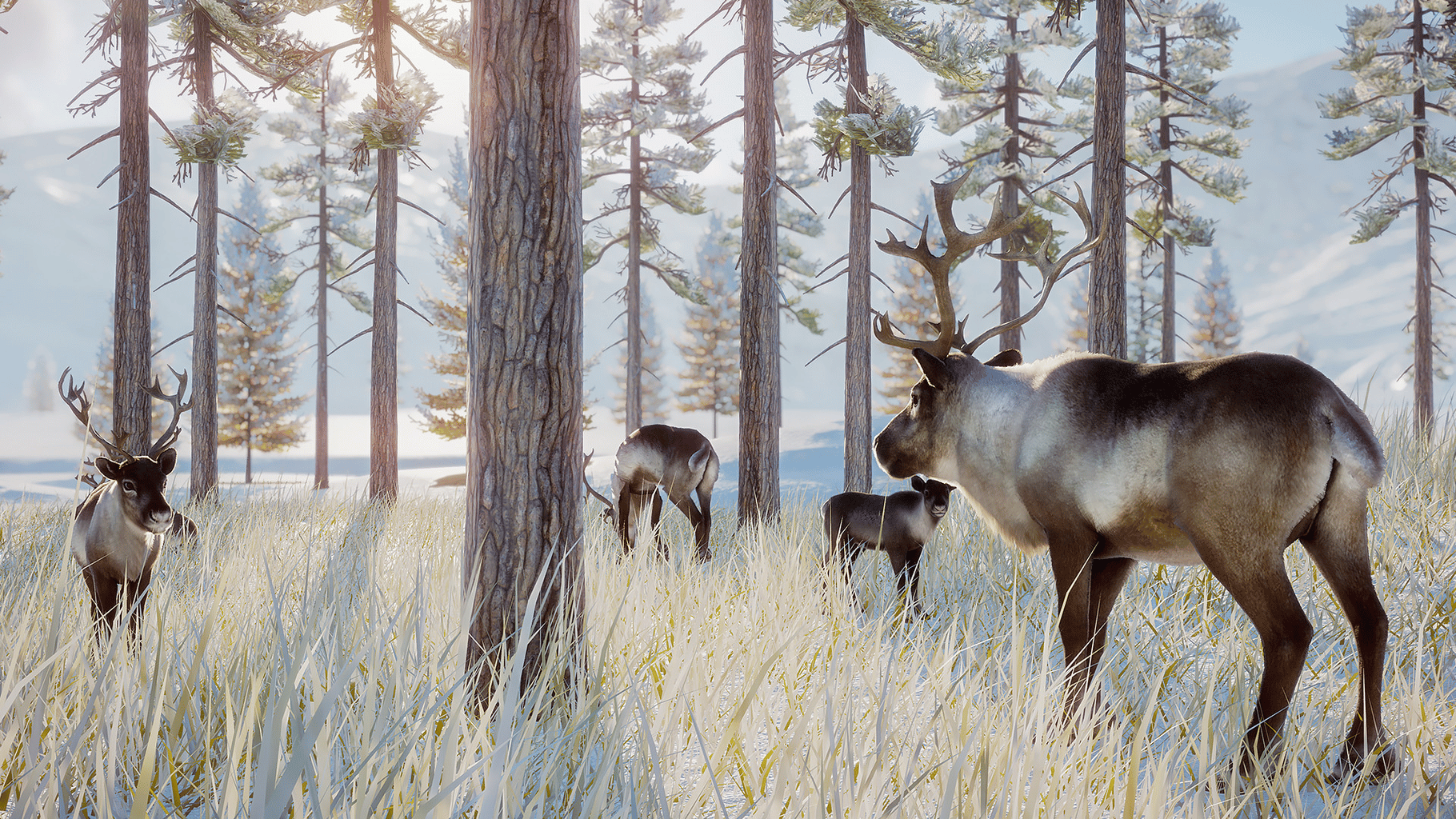 Planet Zoo: Arctic Pack screenshot